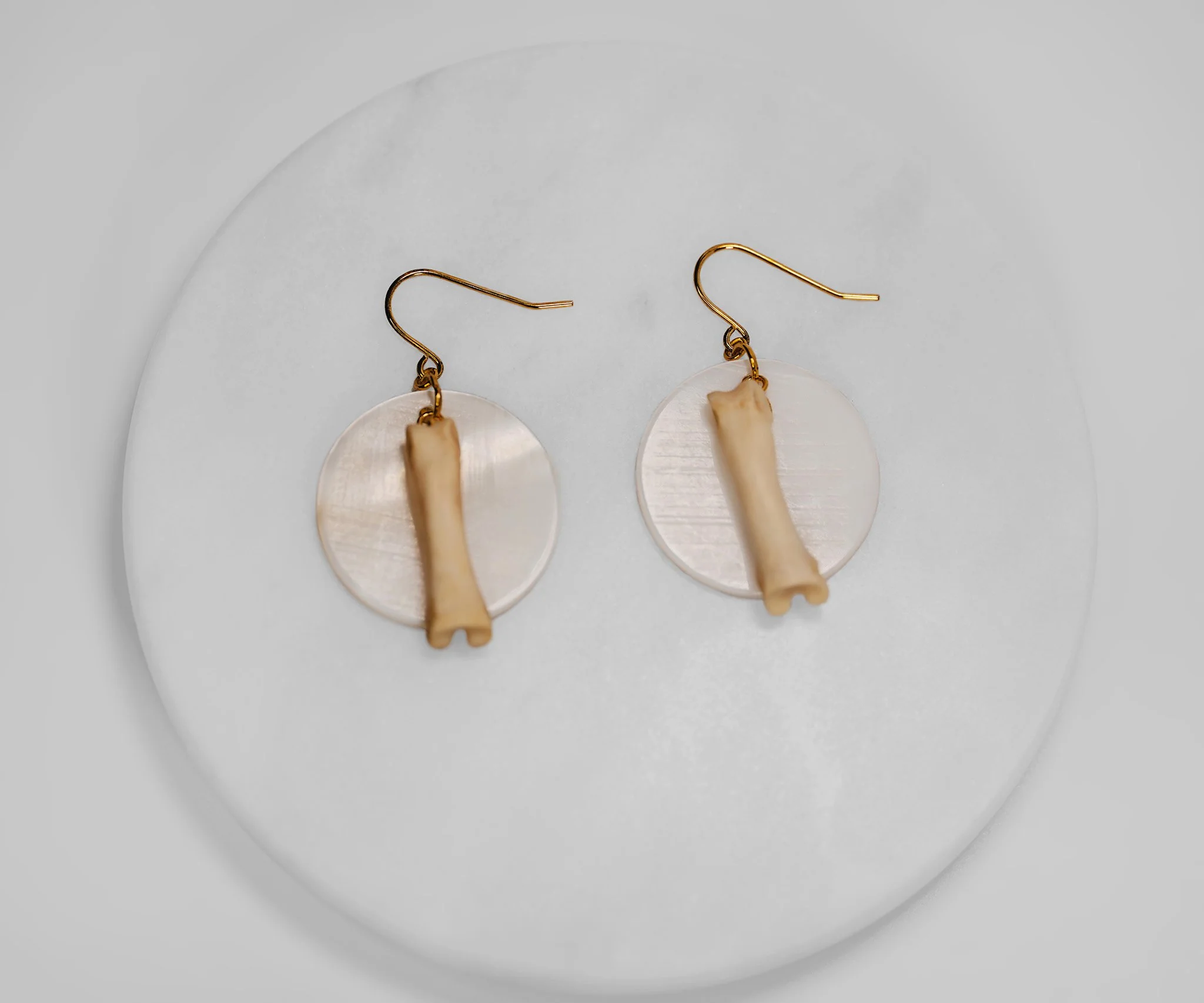 Canis Calva-27RS.jpg