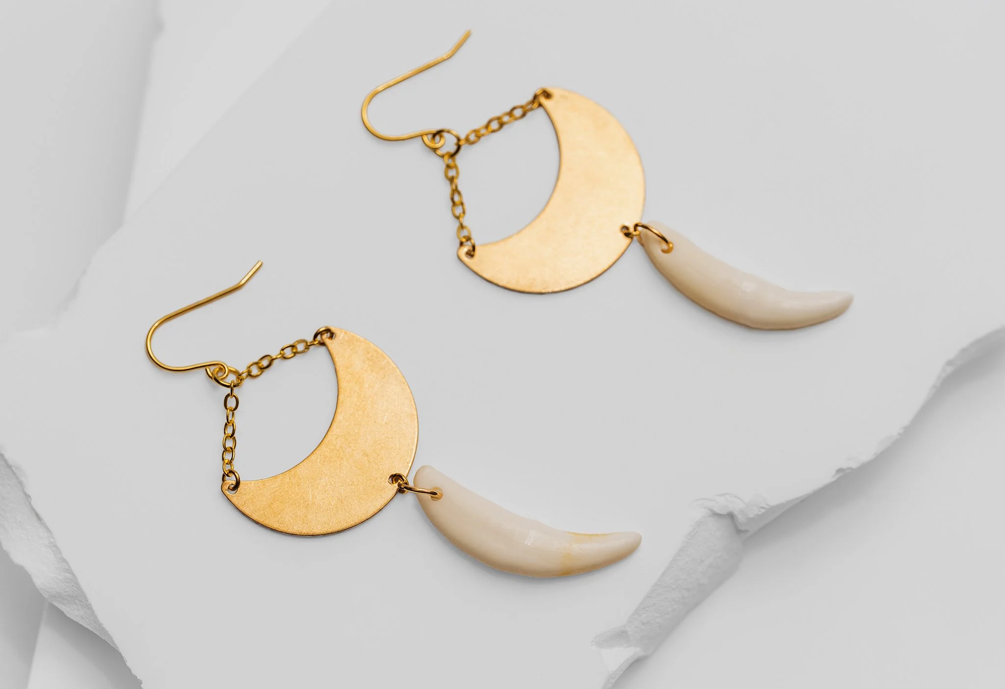 Canis Calva-26RS.jpg