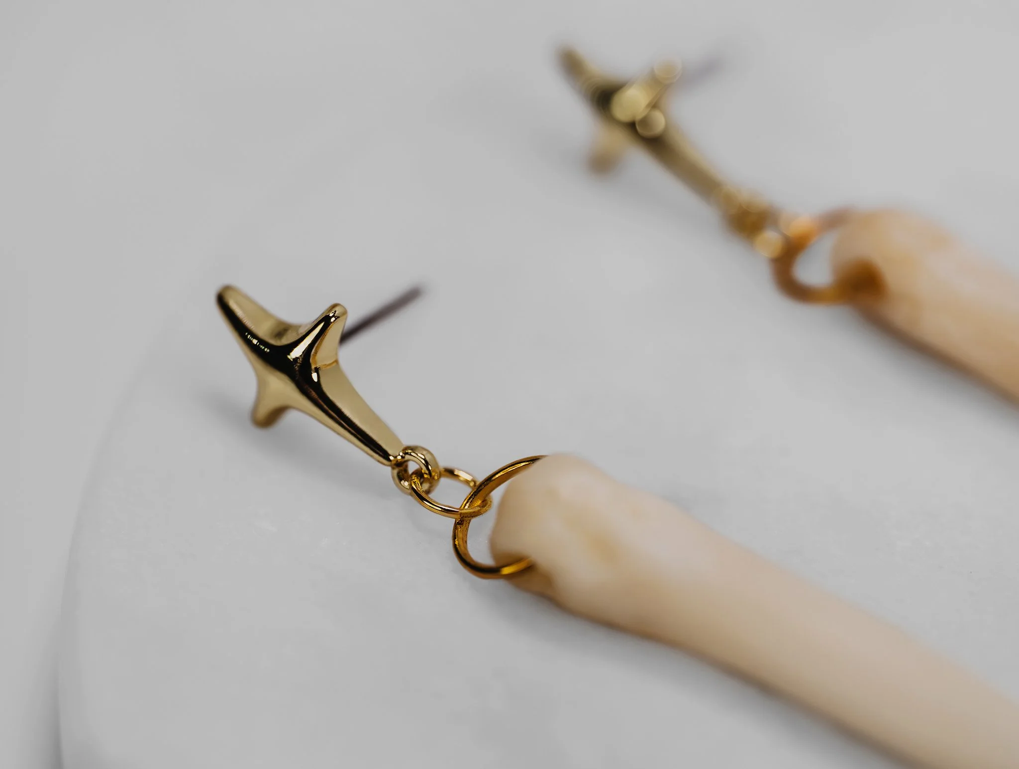 Canis Calva-38RS.jpg