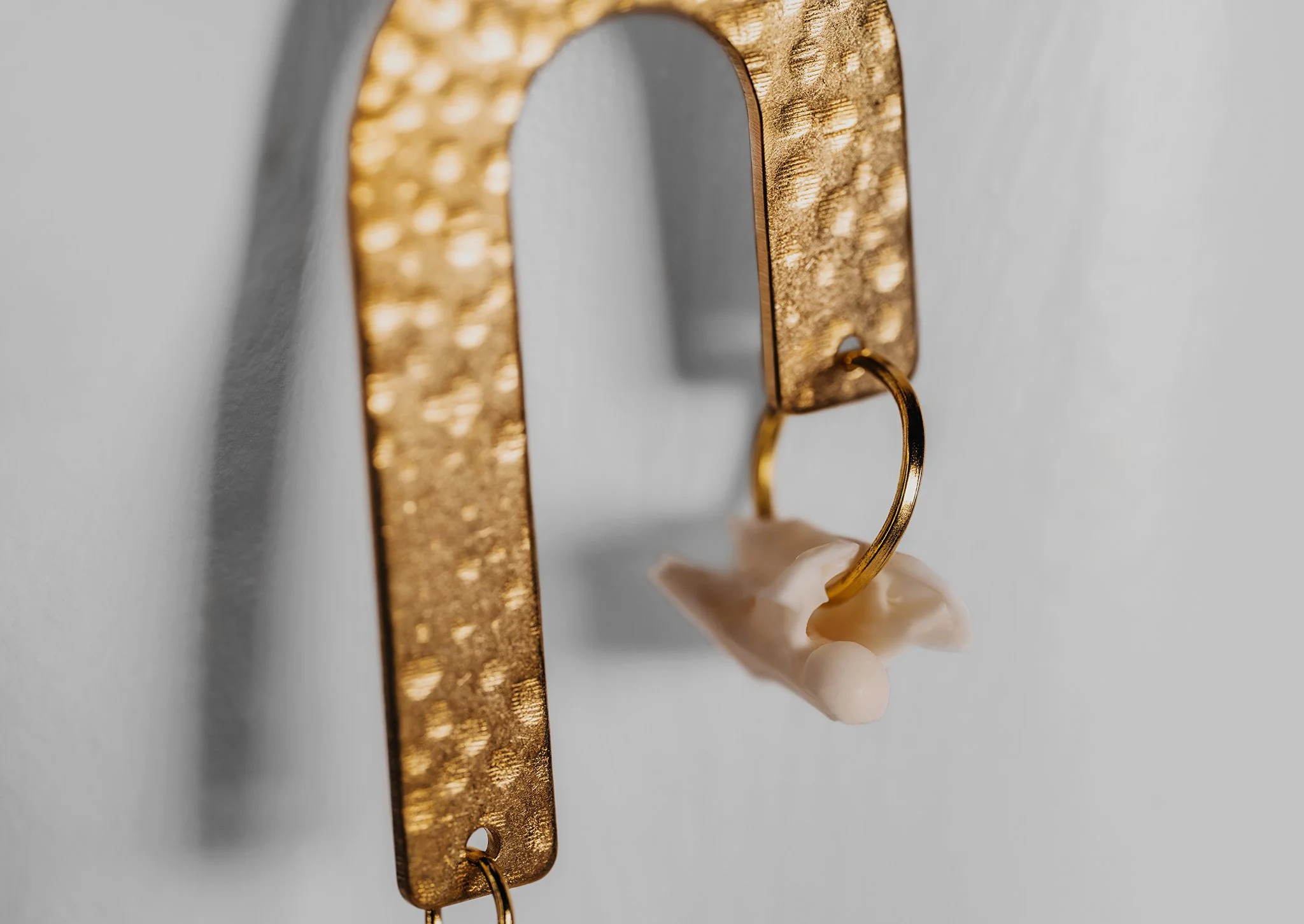 Canis Calva-55RS.jpg