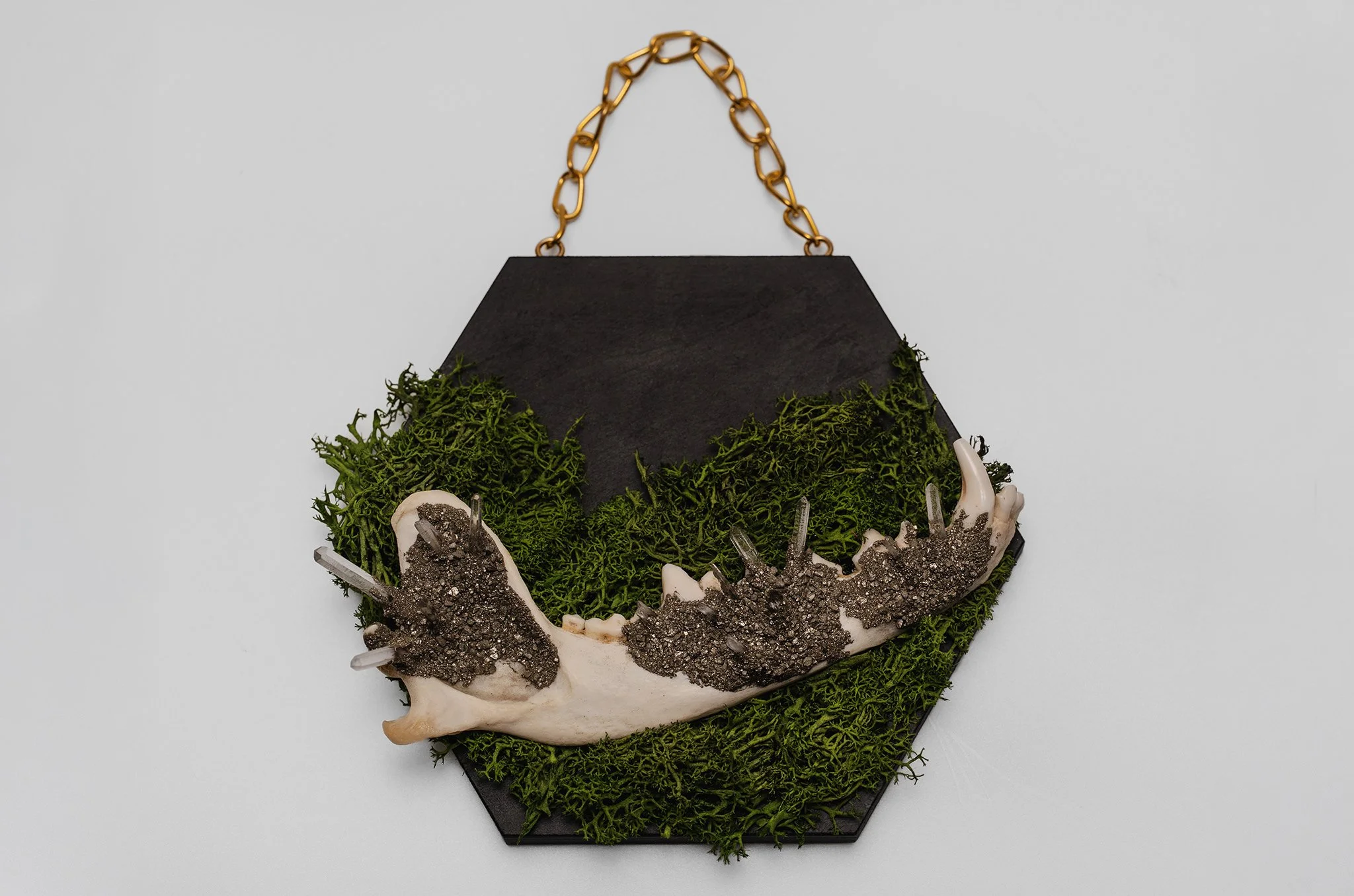Coyote Jaw with Clear Quartz & Pyrite on Preserved Moss Wall Hang