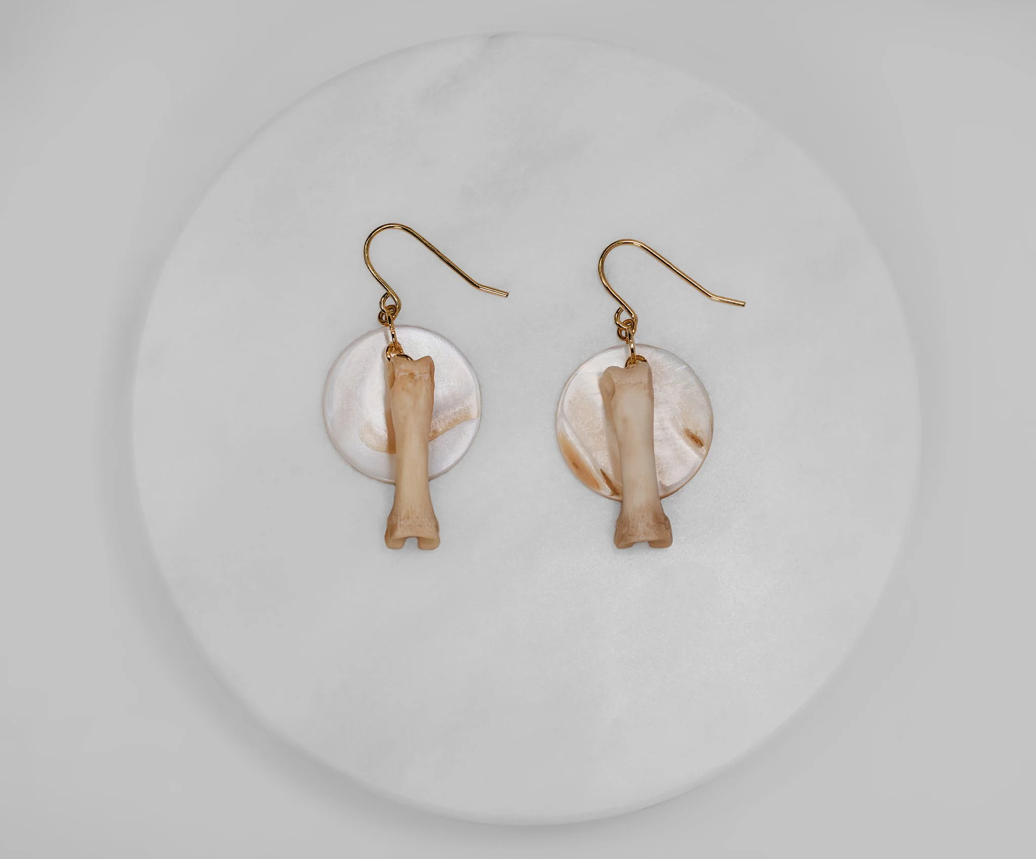 Canis Calva-22RS.jpg