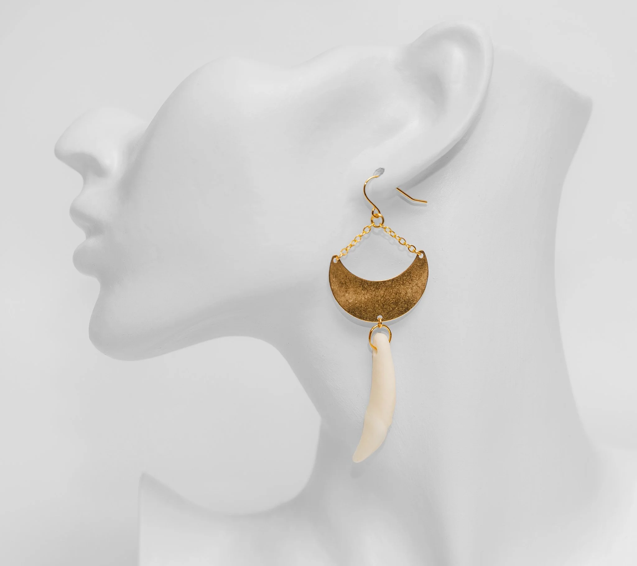 Canis Calva-27RS.jpg