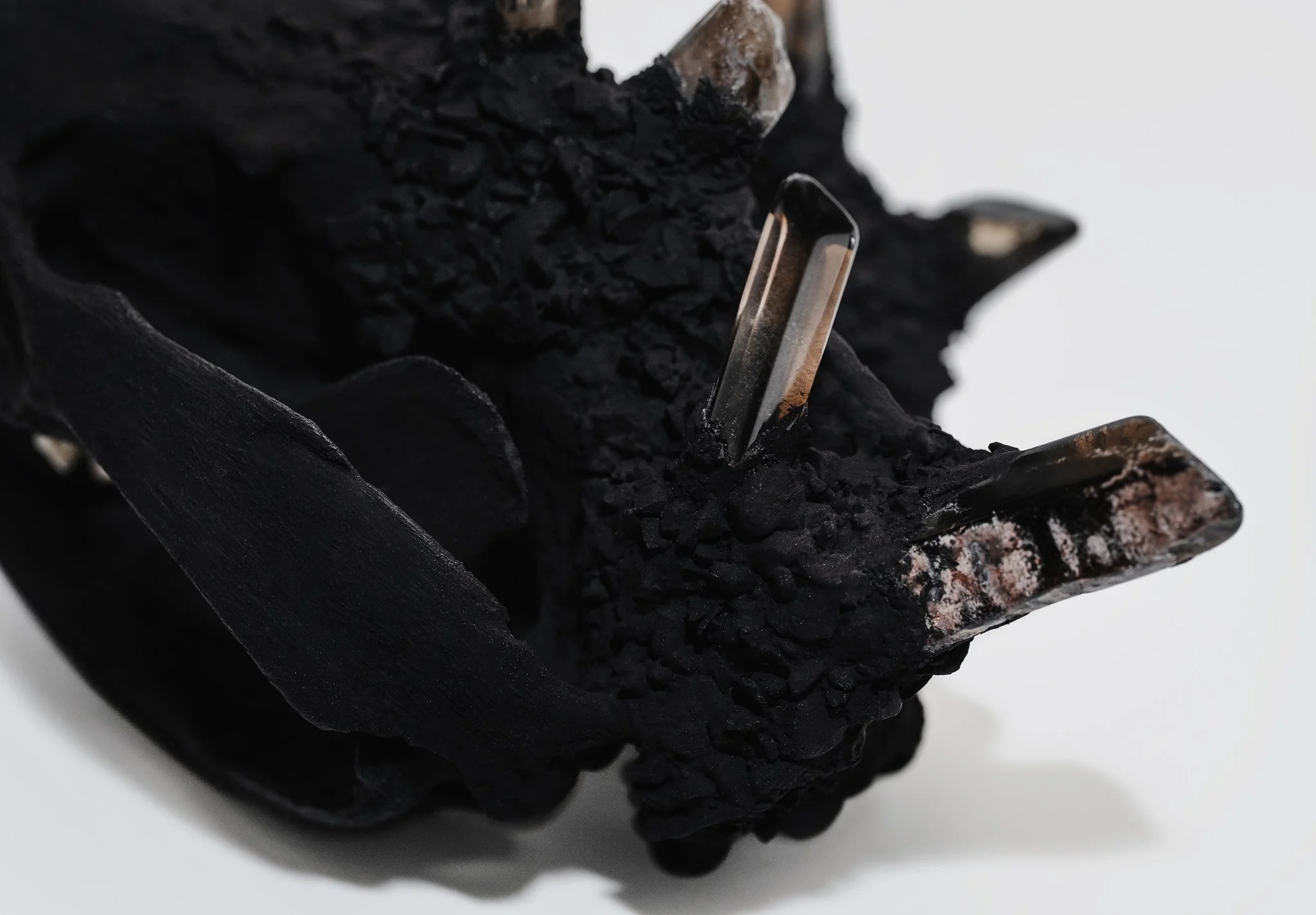 Canis Calva - Opossum-7RS.jpg