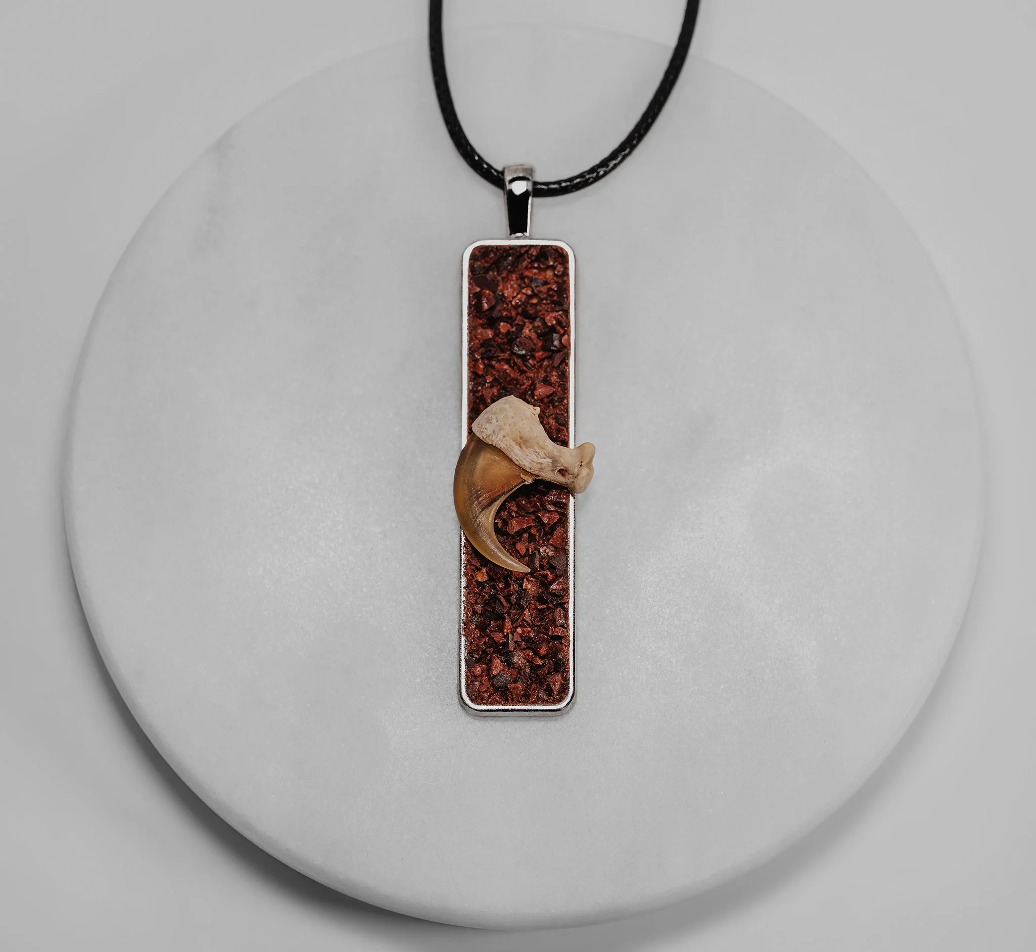 Canis Calva-46RS.jpg