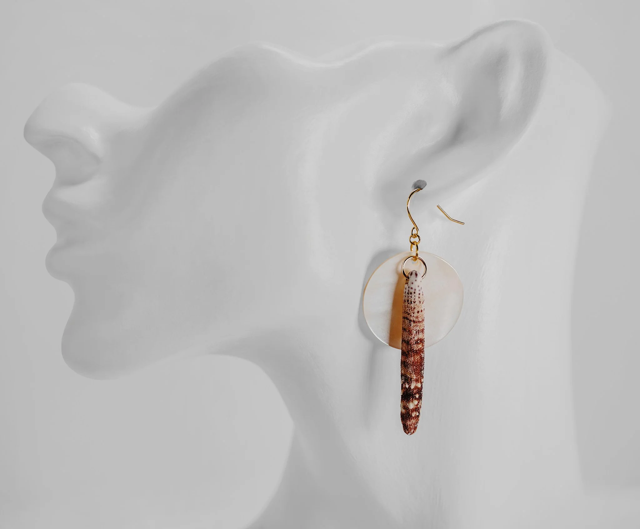 Canis Calva-62RS.jpg