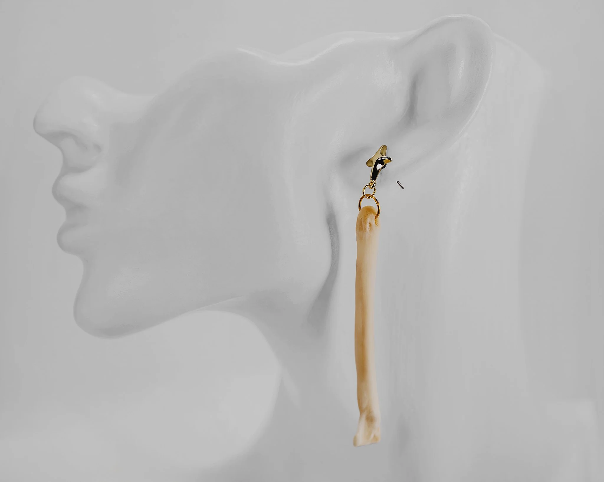 Canis Calva-36RS.jpg