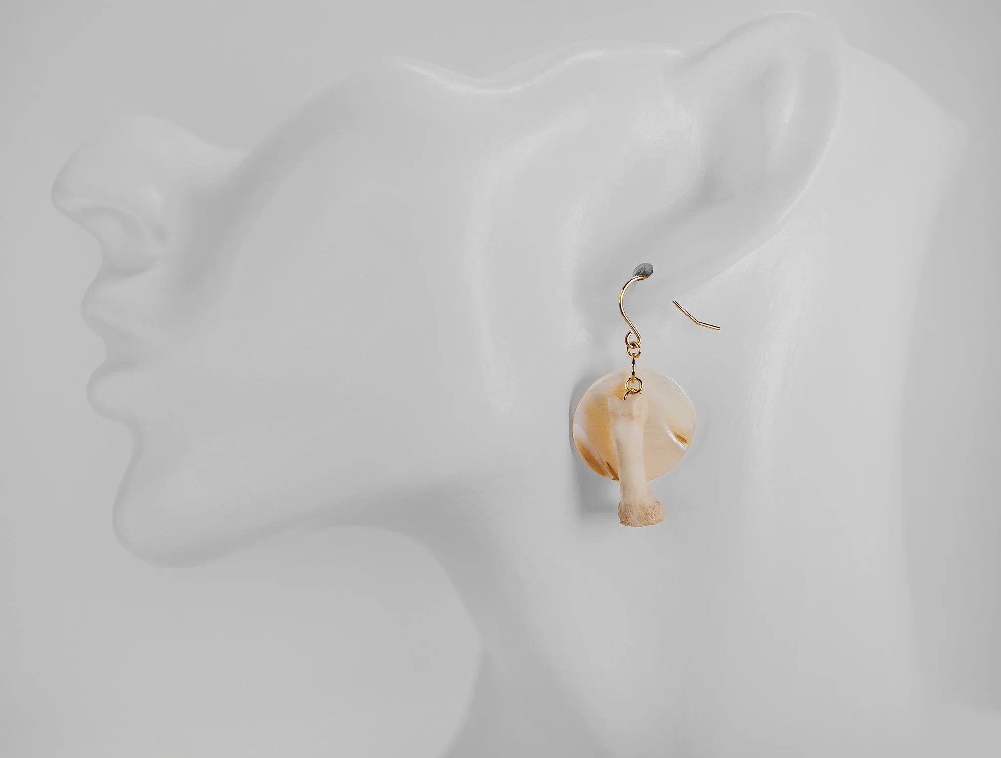 Canis Calva-20RS.jpg