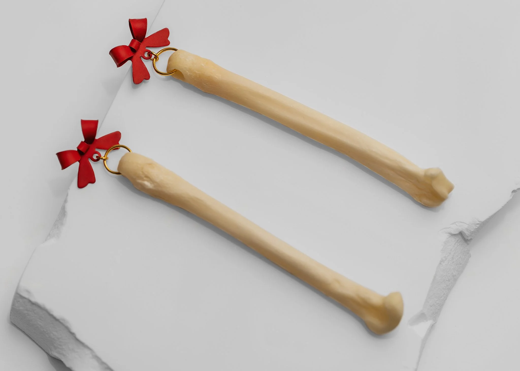 Canis Calva-35RS.jpg