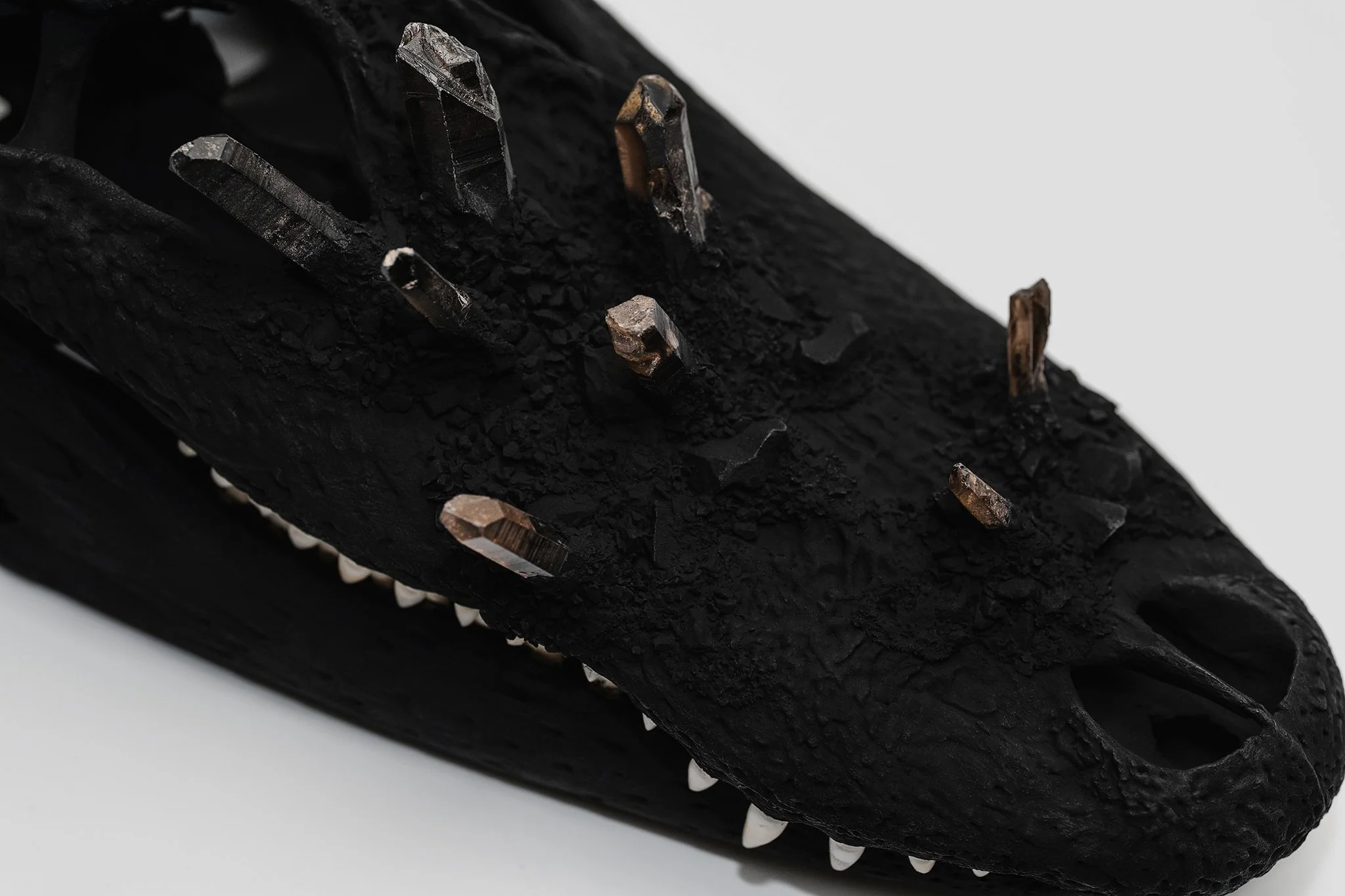 Canis Calva - Matte Black Alligator-5RS.jpg