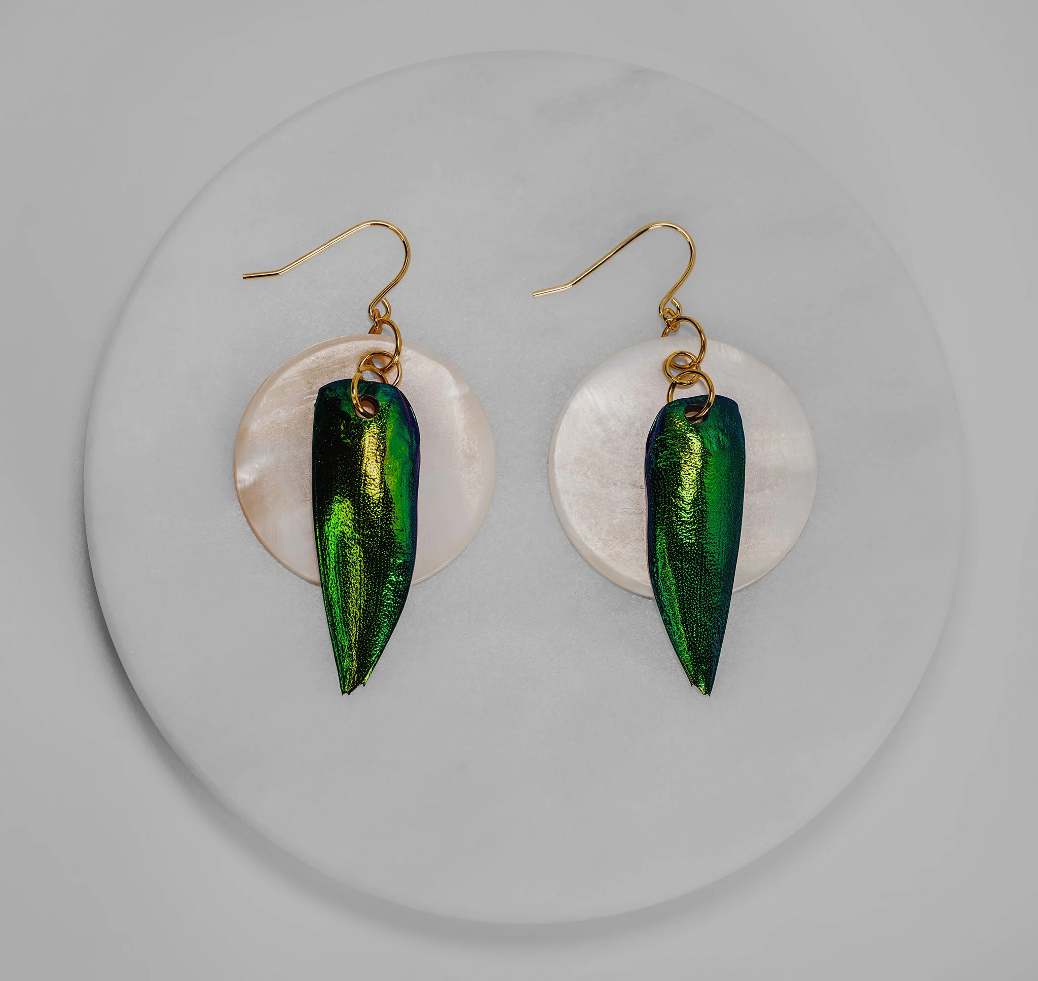 Blue/Green Jewel Beetle Wings & White Seashell Earrings