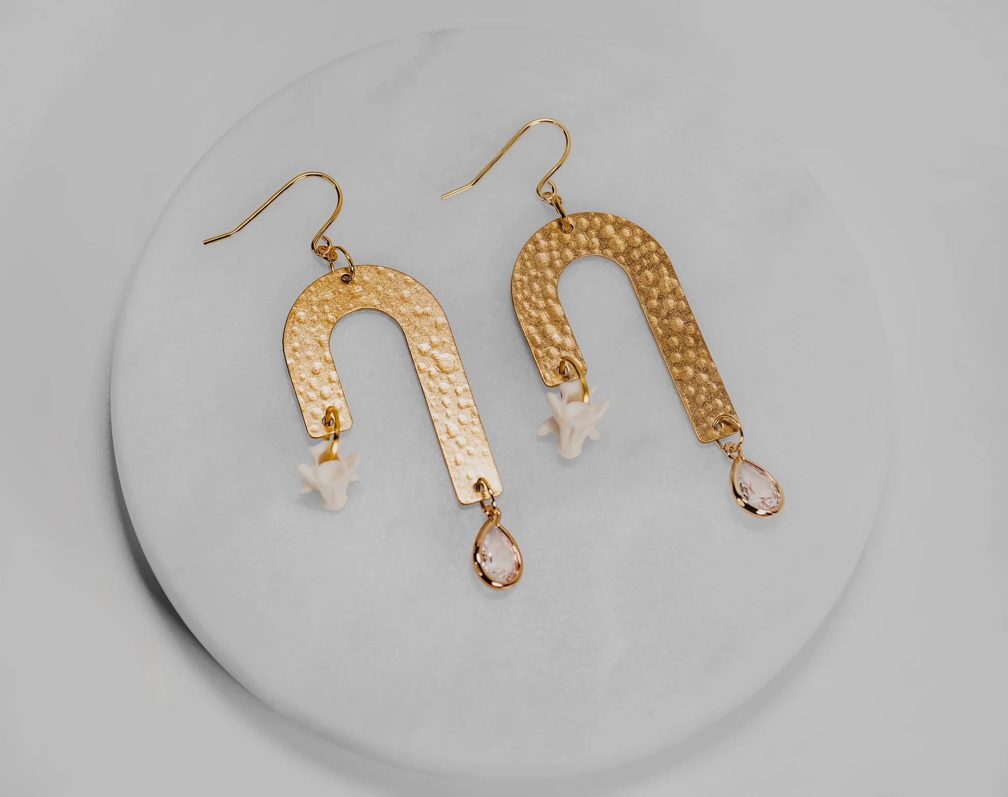 Canis Calva-56RS.jpg