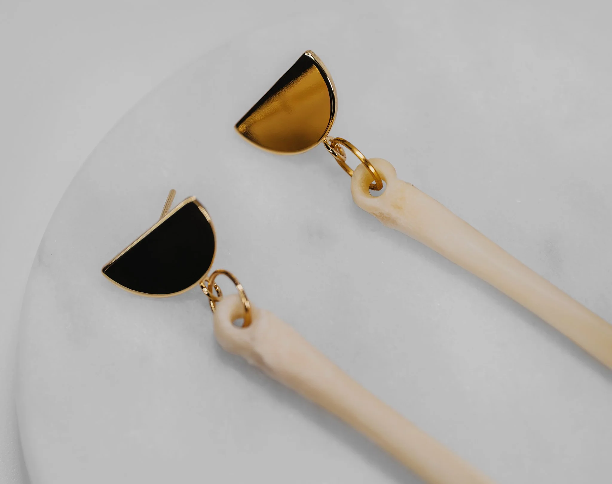 Canis Calva-34RS.jpg