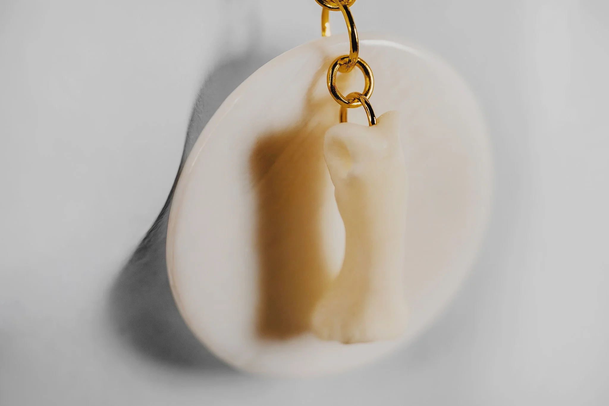 Canis Calva-29RS.jpg