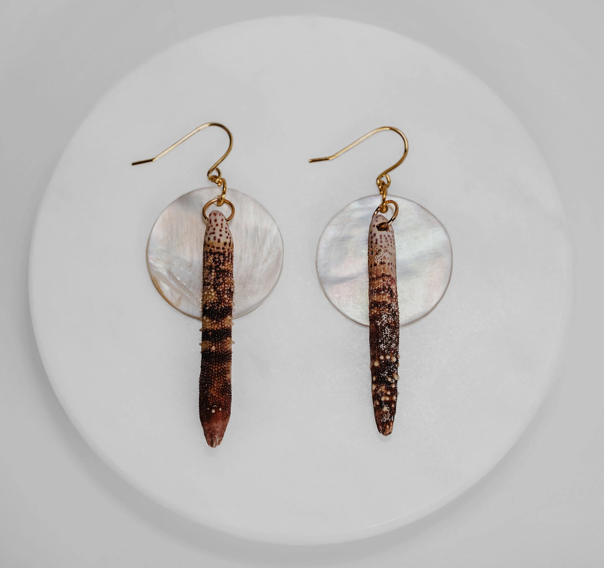 Sea Urchin Spine & White Shell Earrings