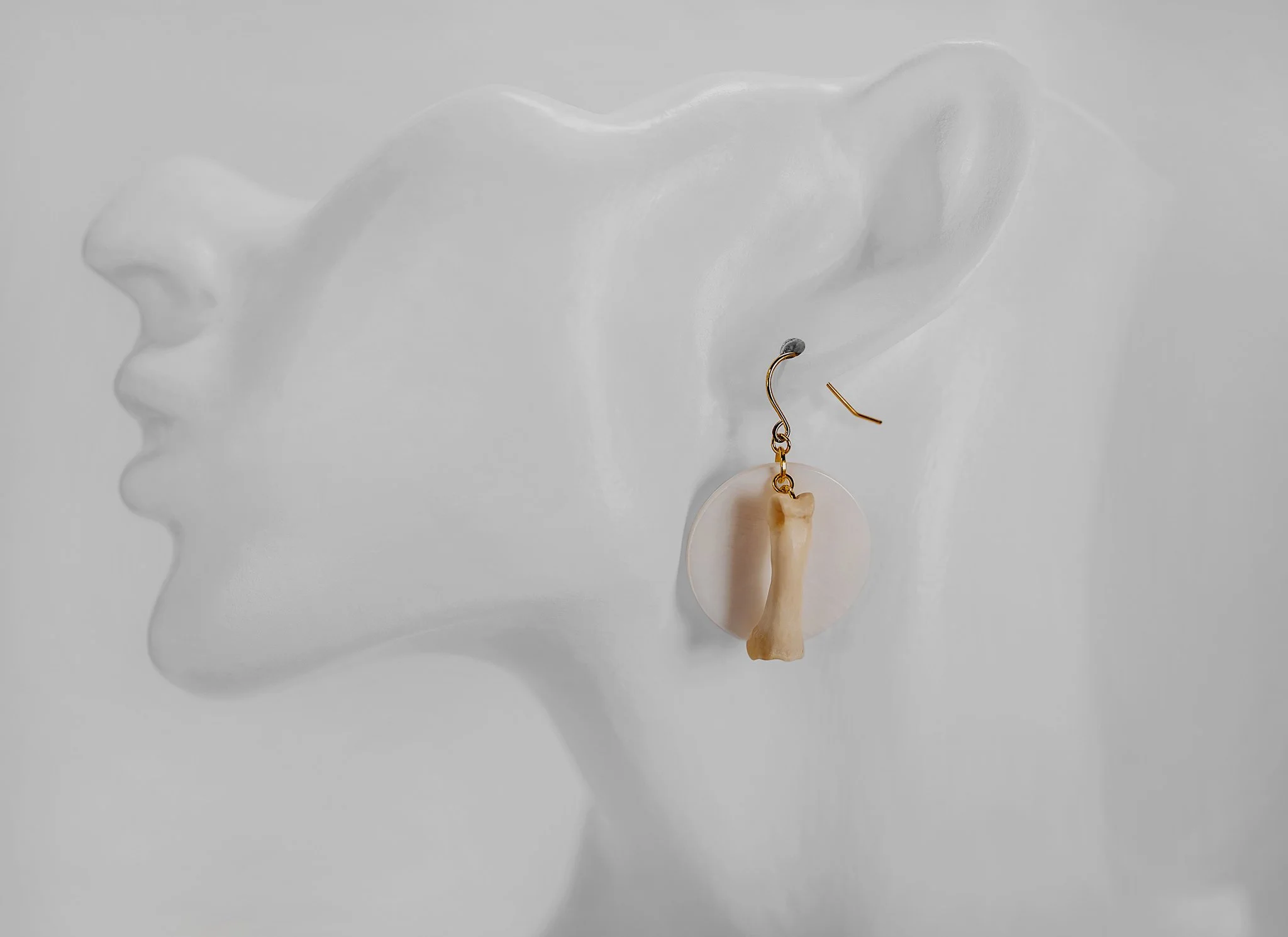 Canis Calva-26RS.jpg