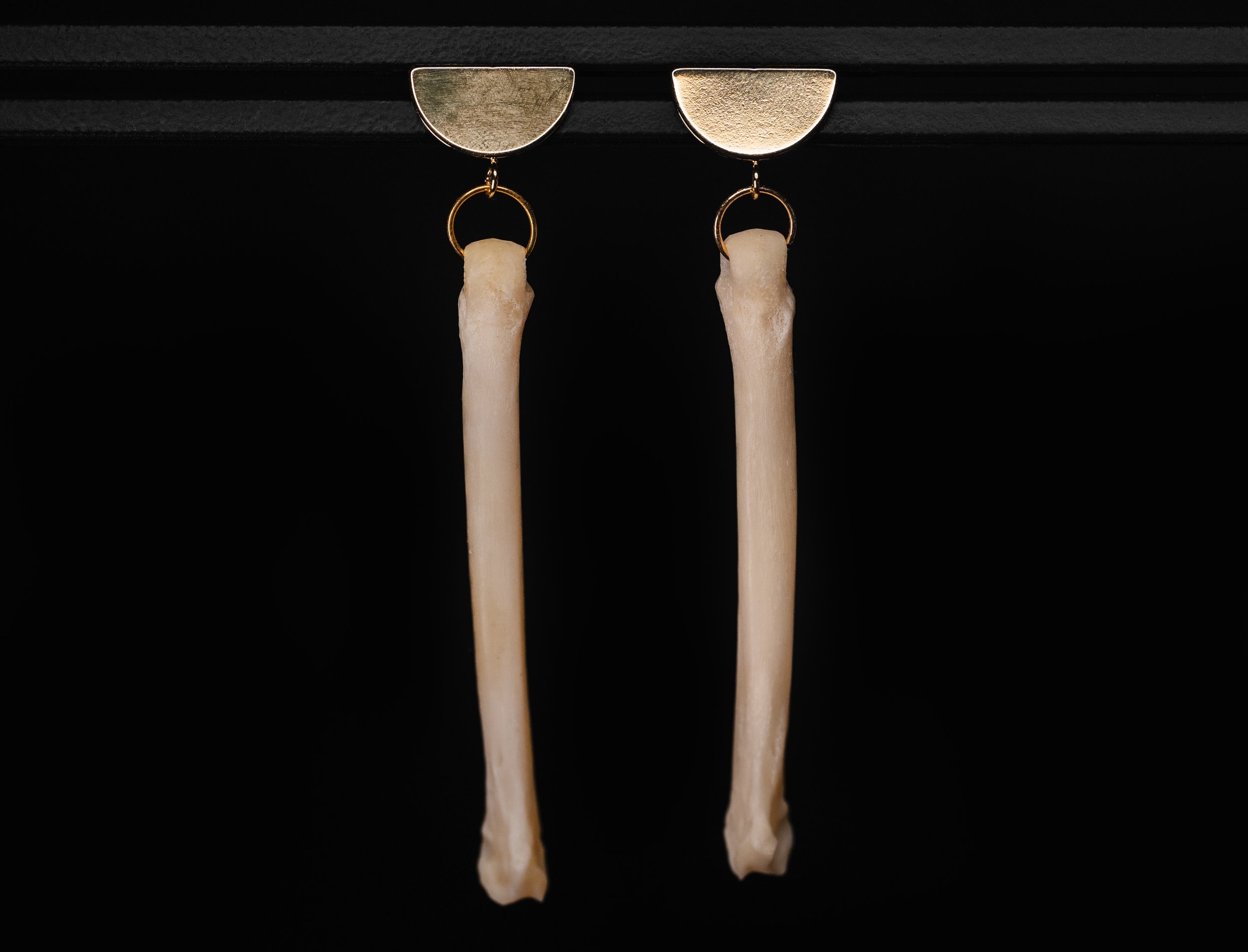 Earrings02_001.jpg