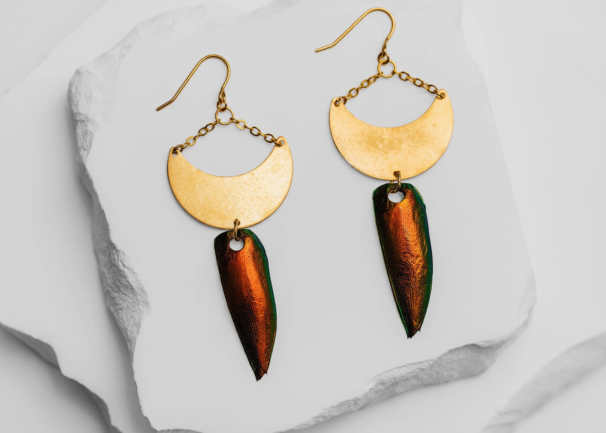 Canis Calva-33RS.jpg