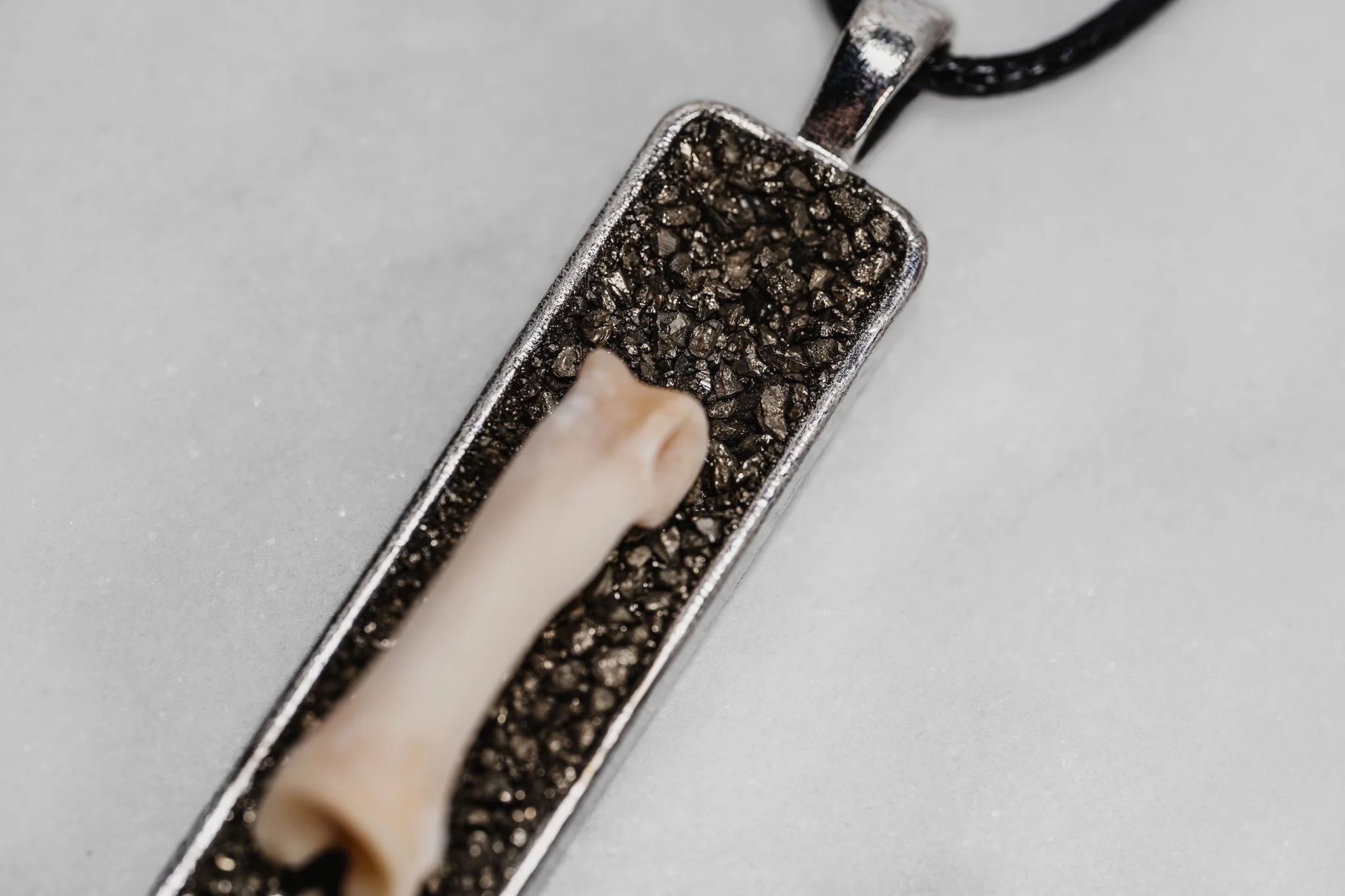 Canis Calva-41RS.jpg