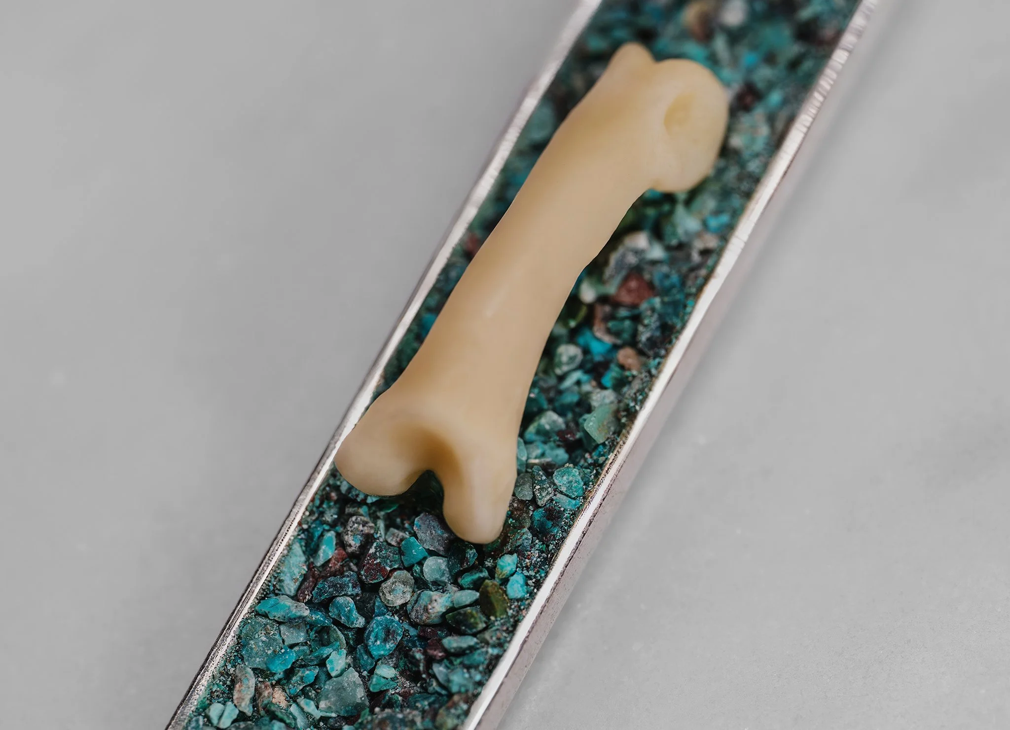 Canis Calva-45RS.jpg