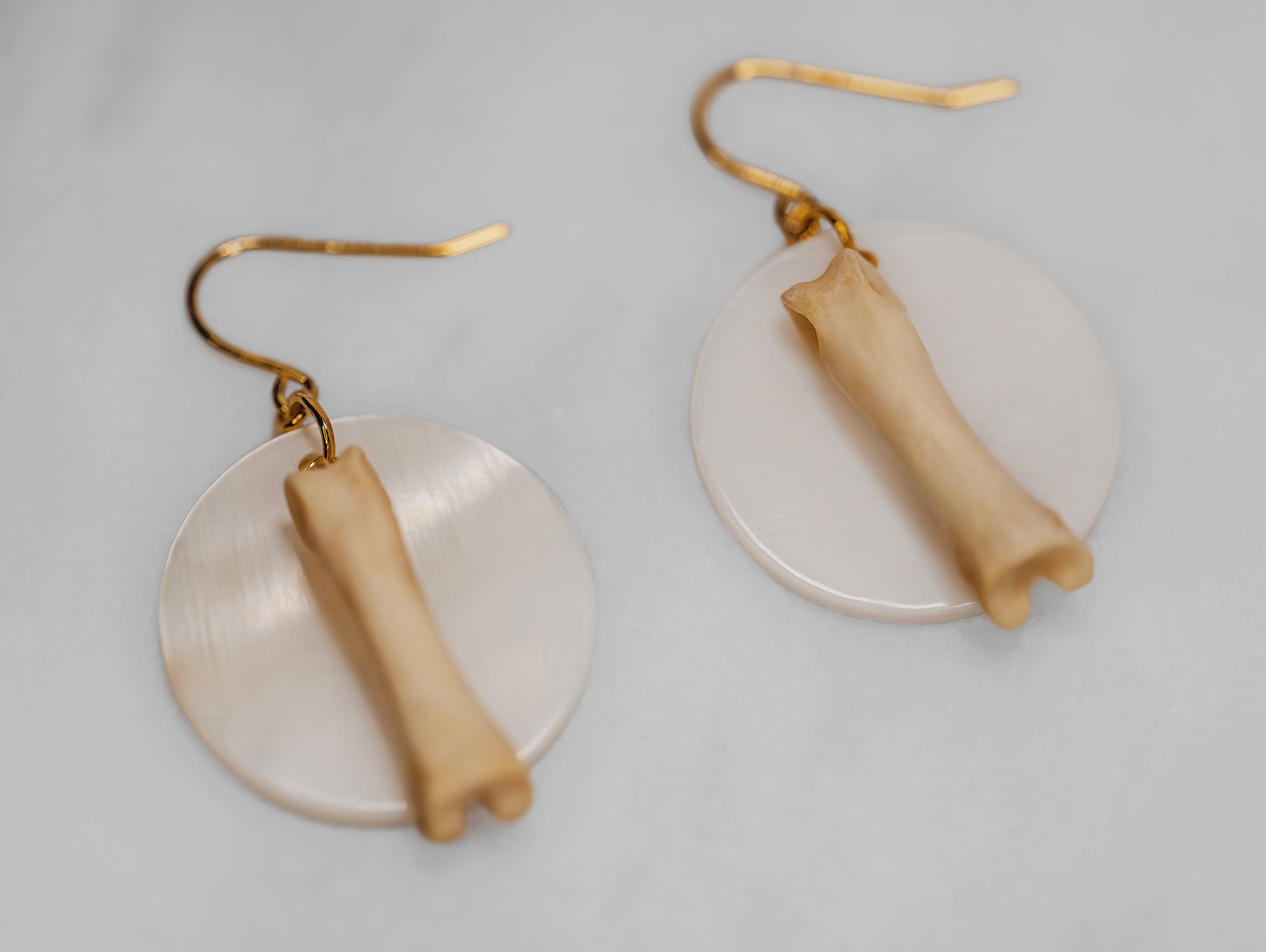 Canis Calva-28RS.jpg