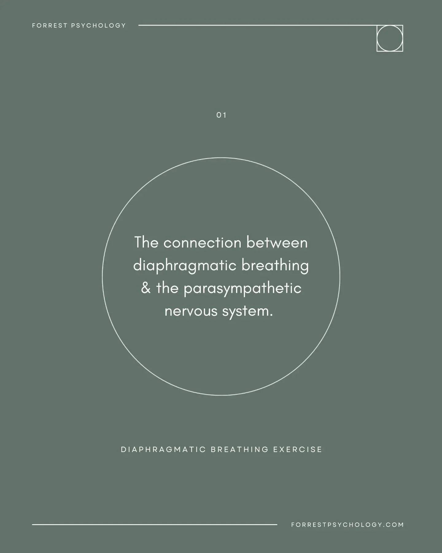 The connection between diaphragmatic breathing and the parasympathetic nervous system.&nbsp;

-

Our autonomic nervous system is responsible for regulating involuntary physiological processes like heart rate, blood pressure, and respiration. It is di