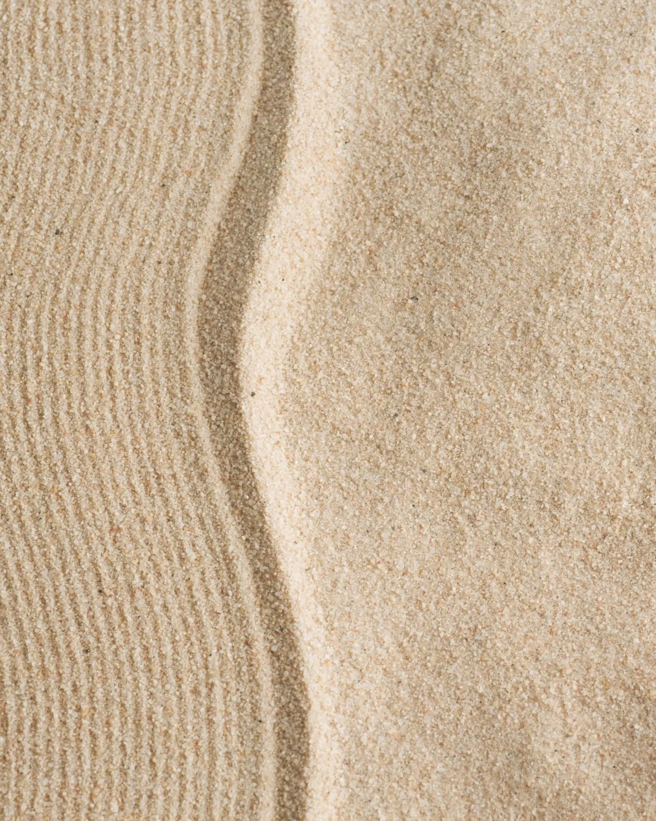 &ldquo;I am not what happened to me, I am what I choose to become.&rdquo; - Carl Jung