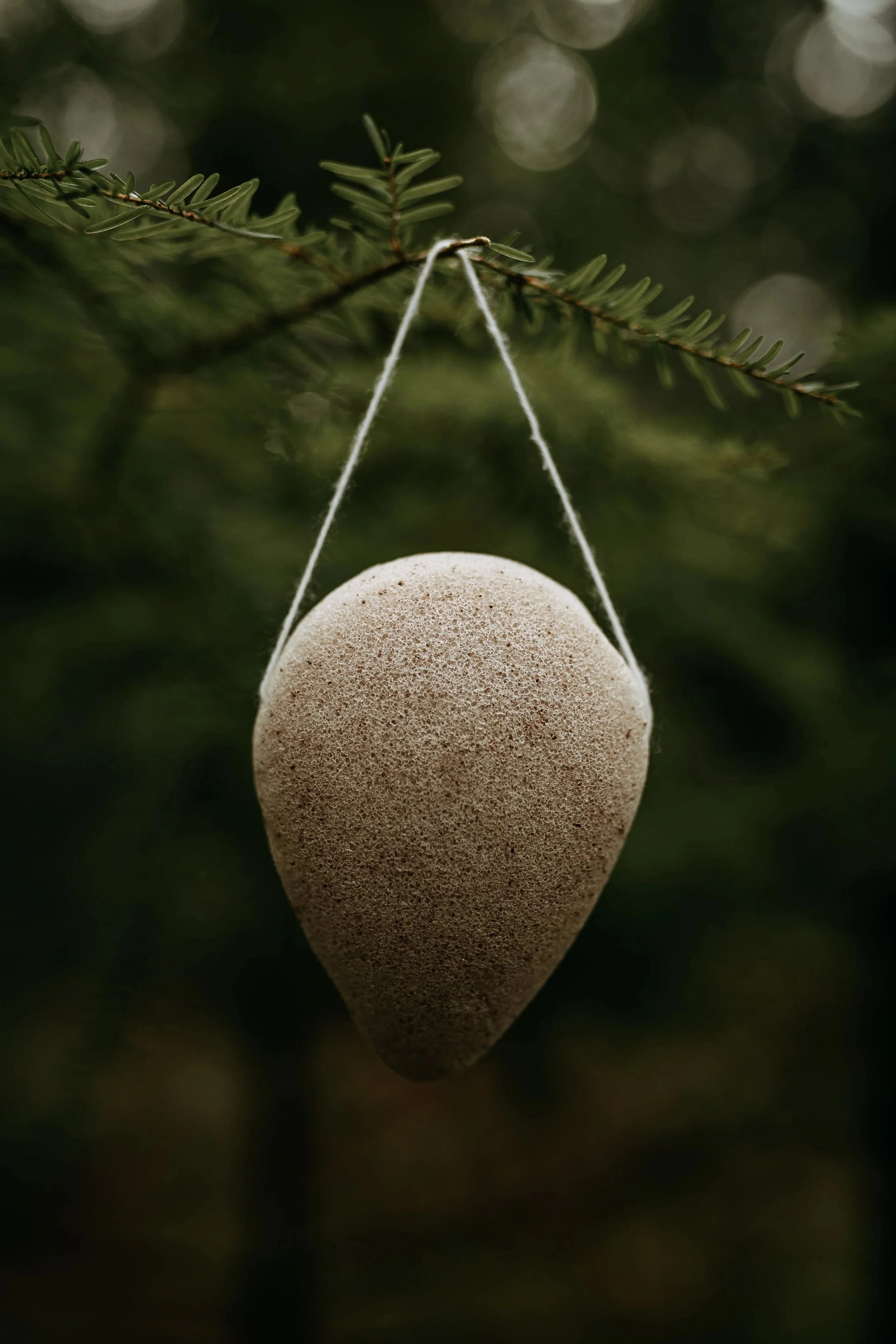 Walnut Konjac Sponge