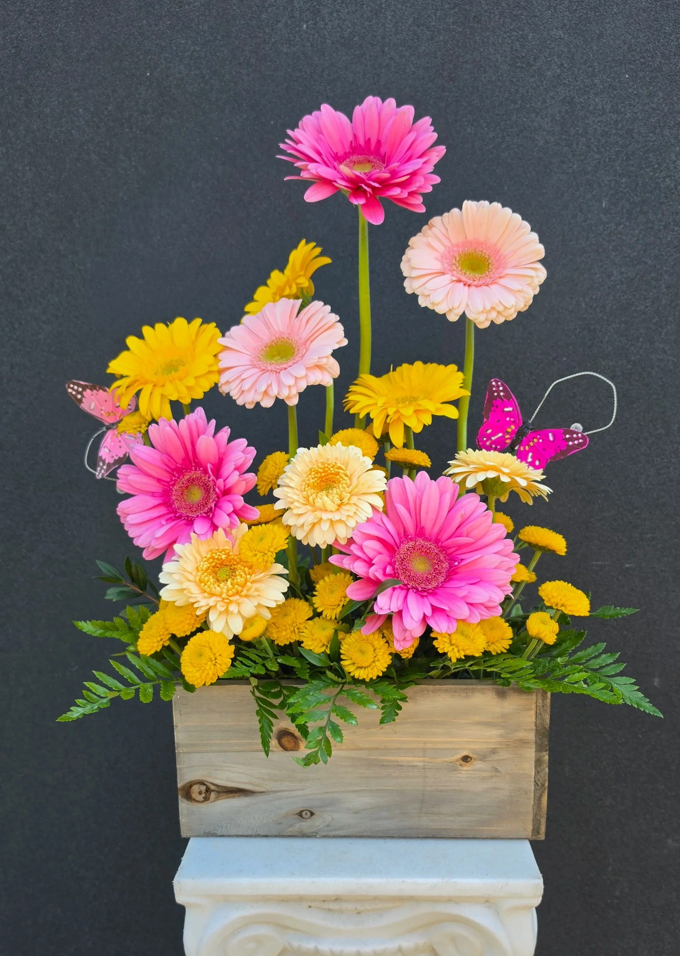 Darling Daisies