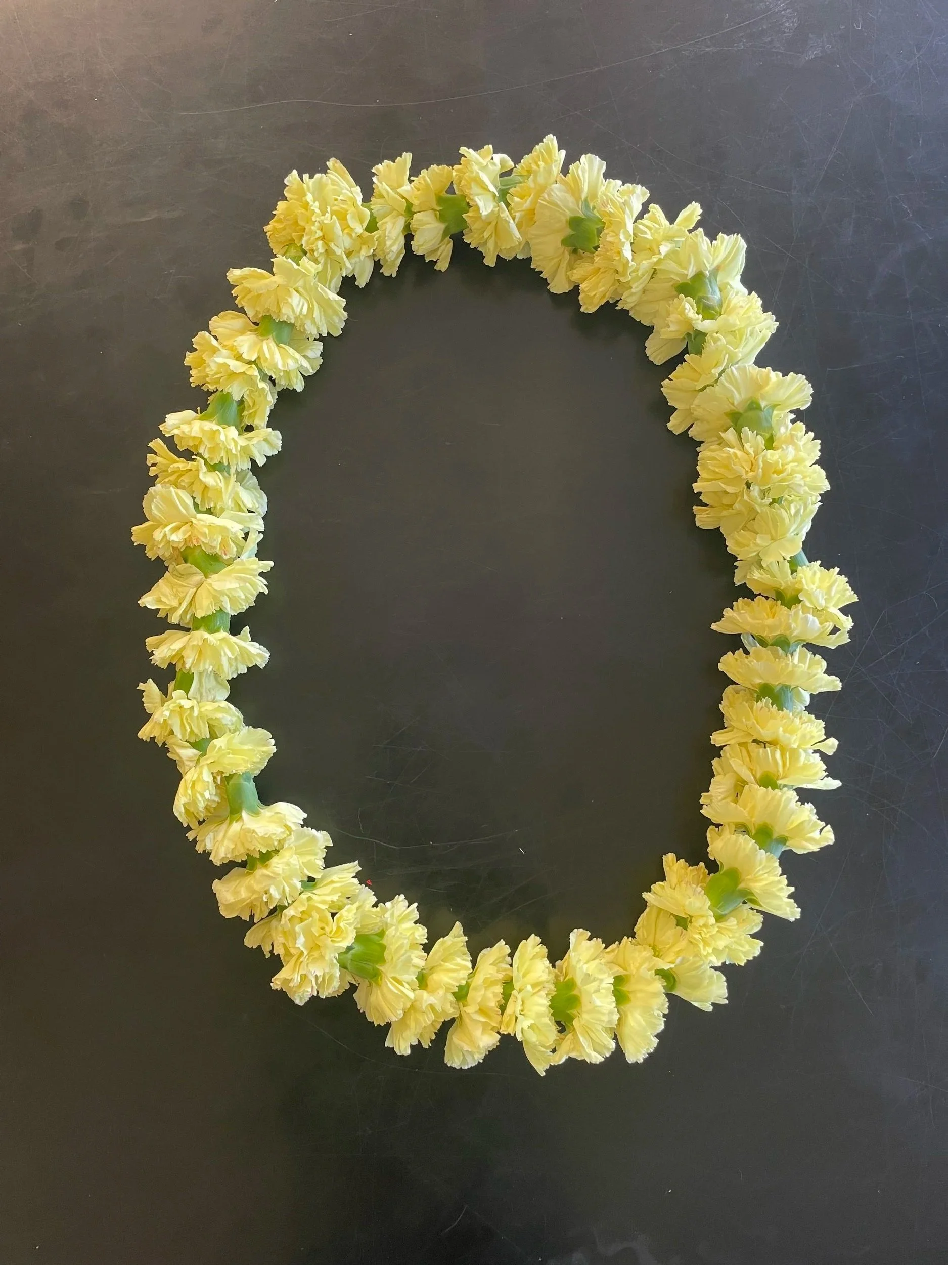 Carnation Lei-Multiple Colors