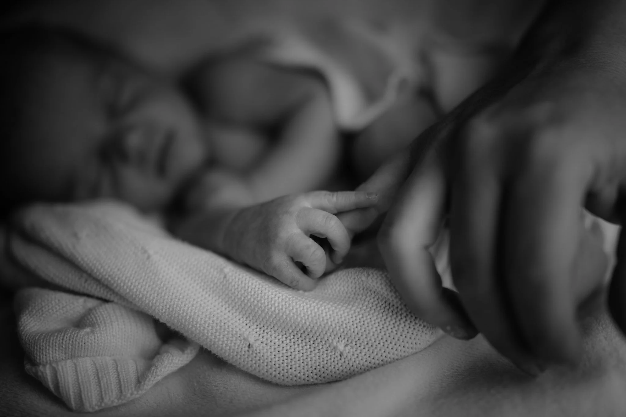 TheCarters-54.jpg