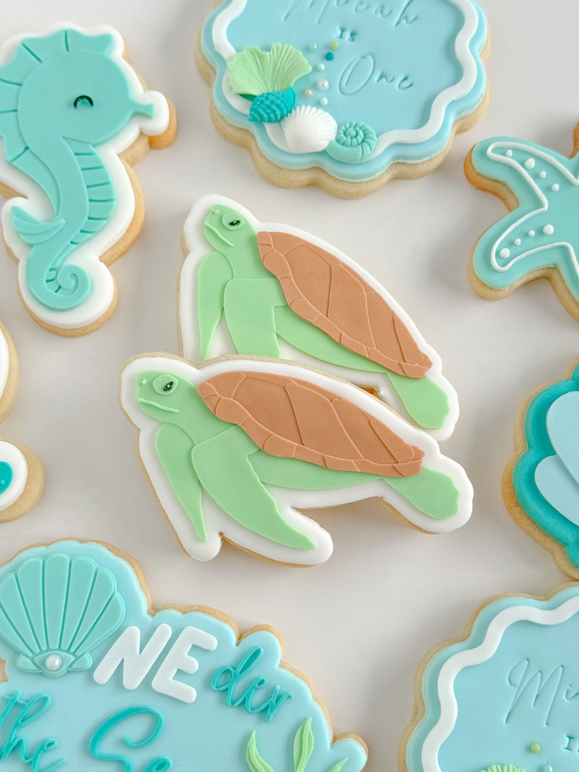 Sea Turtle.jpg