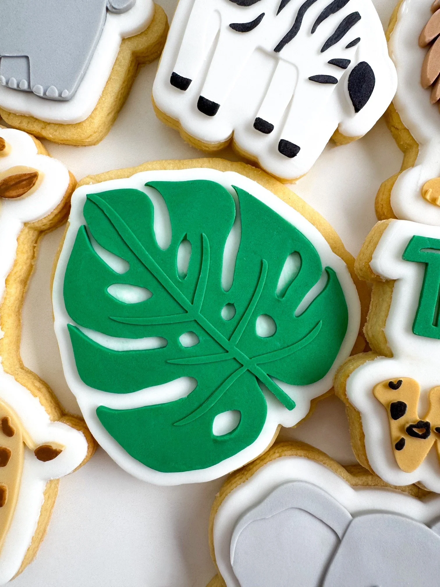 Monstera Leaf.jpg