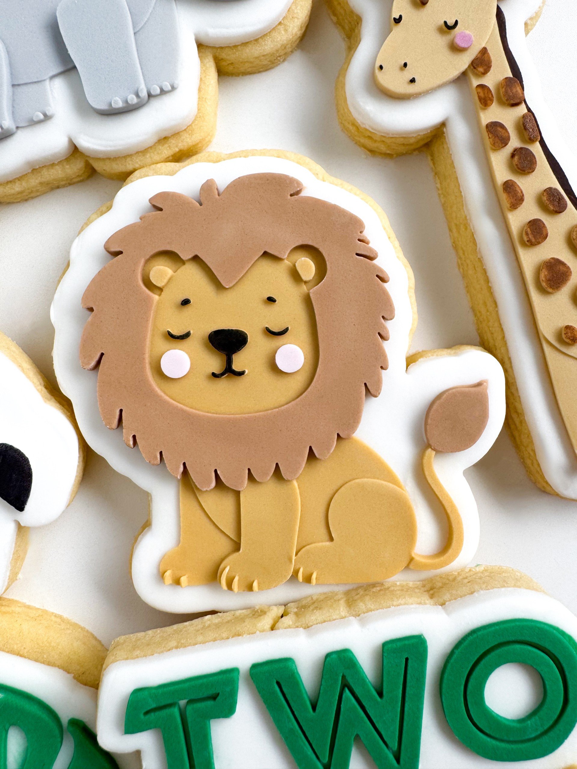 Lion.jpg