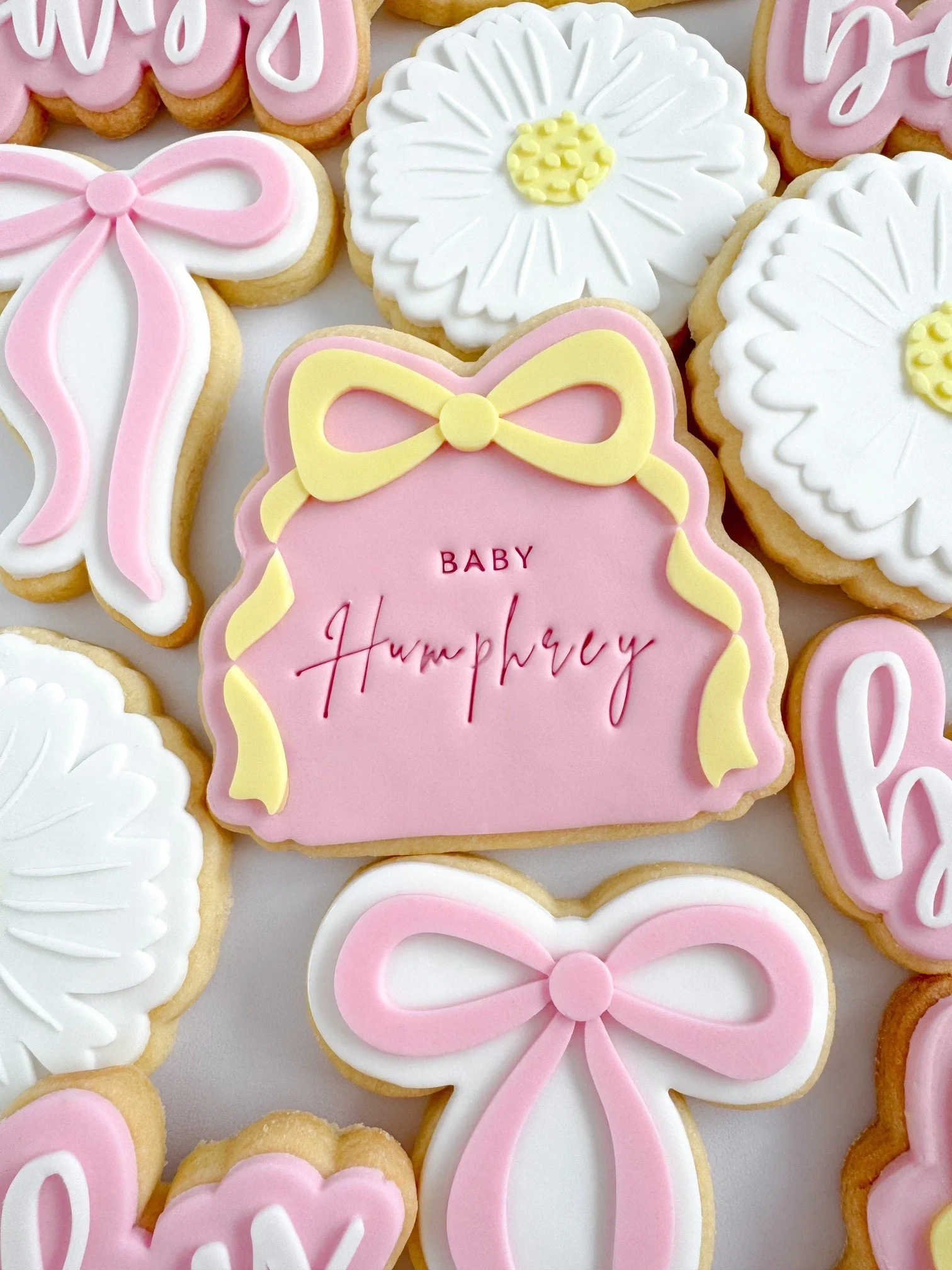 Wavy Bow Plaque Cookie Stamp & Cutter