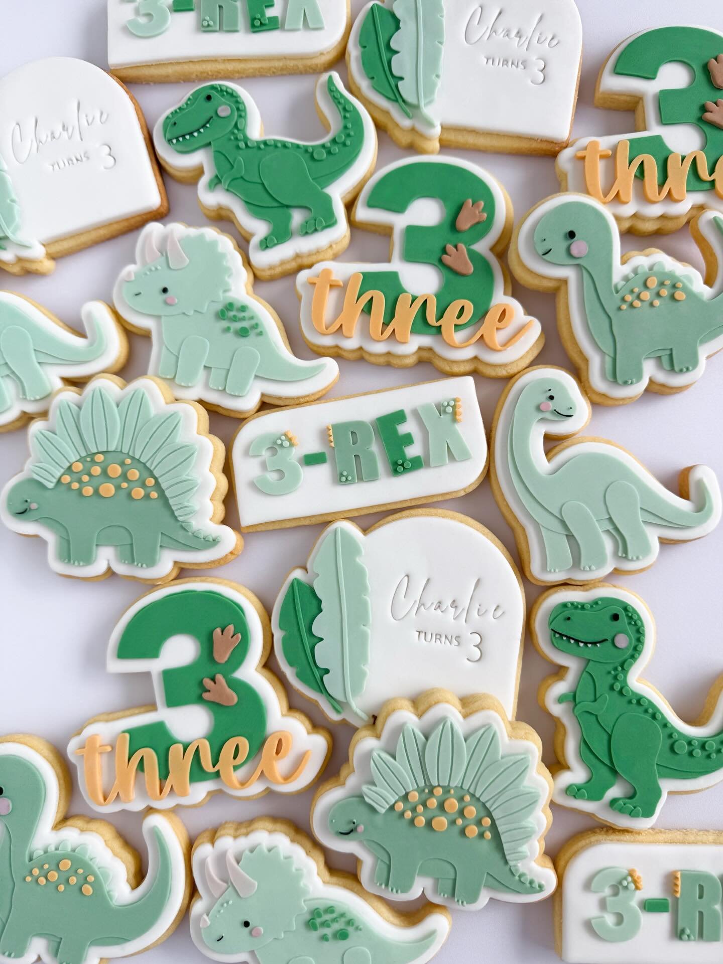 Three-Rex 🦖 Happy birthday Charlie!