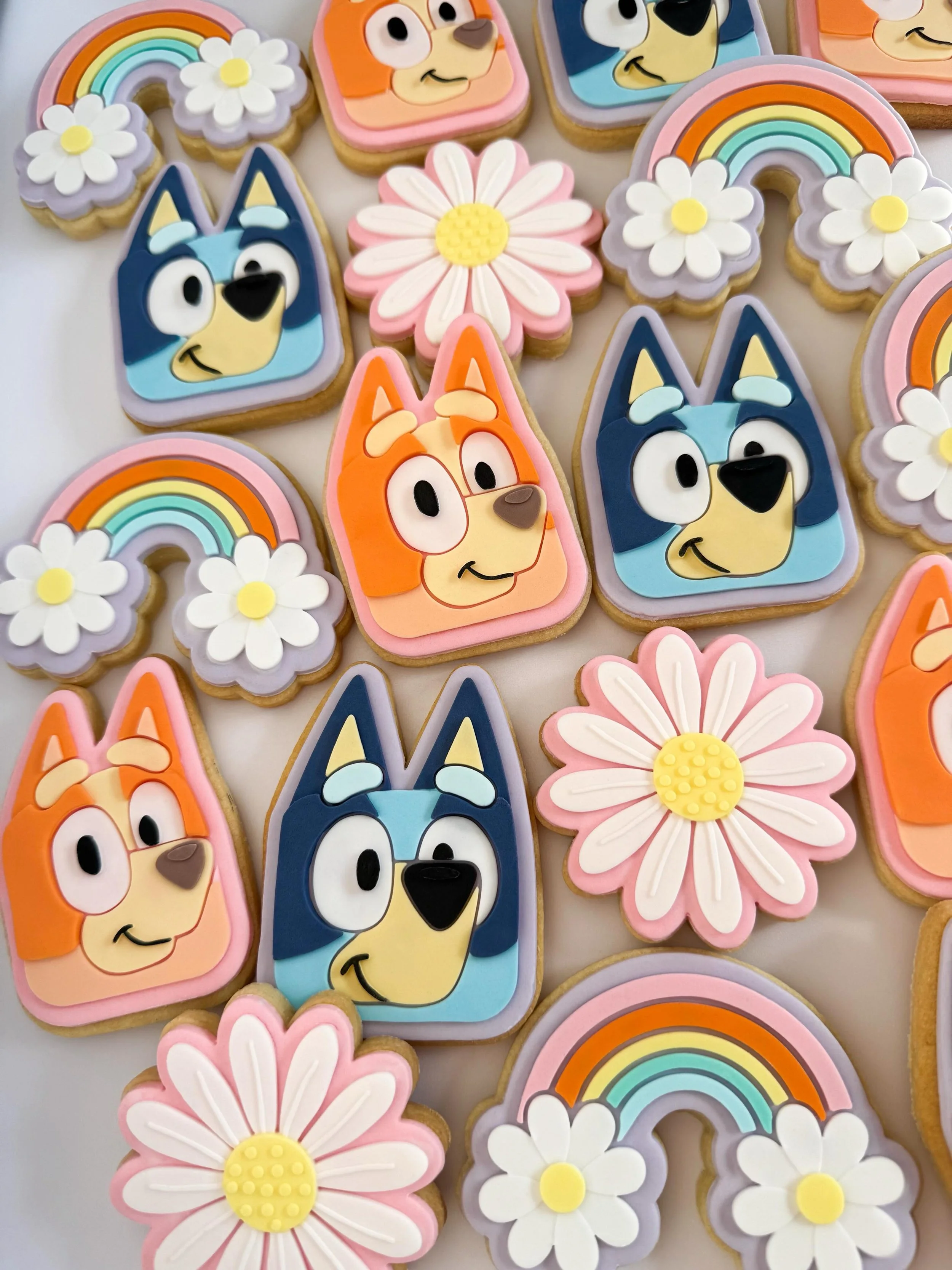 Been a while between Bluey sets 🌈

Cookie package: DELUXE