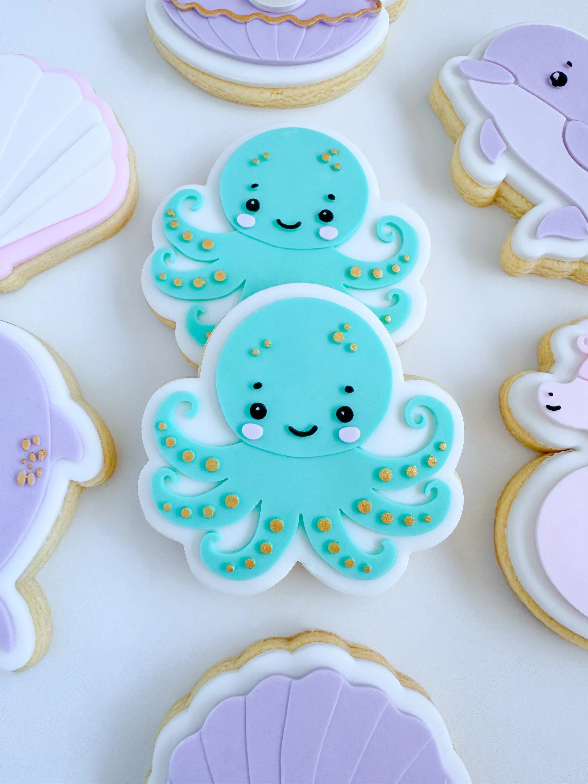 Cute Octopus.jpg