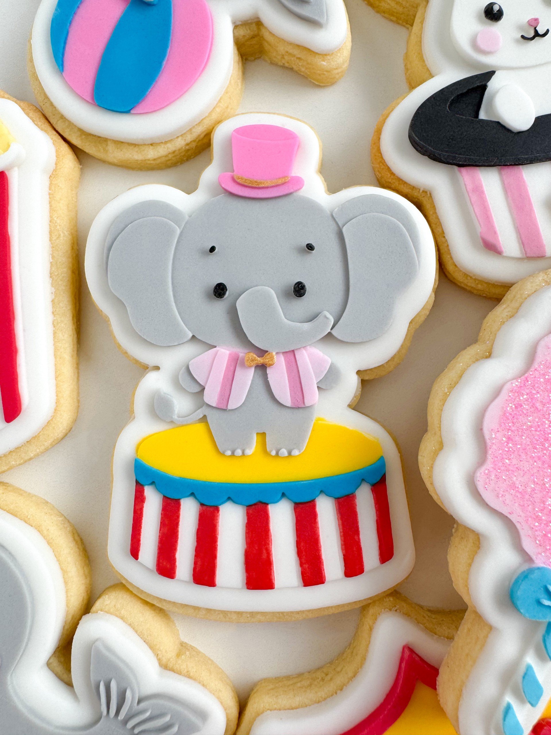 Circus Elephant.jpg