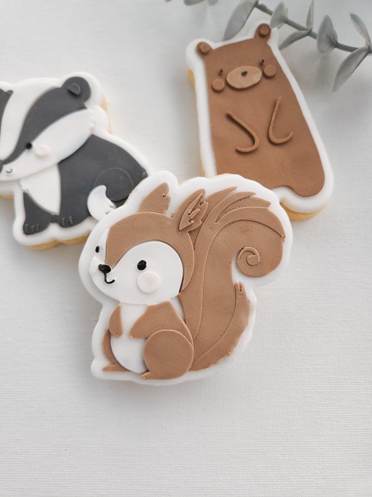 Woodland Squirrel.jpg