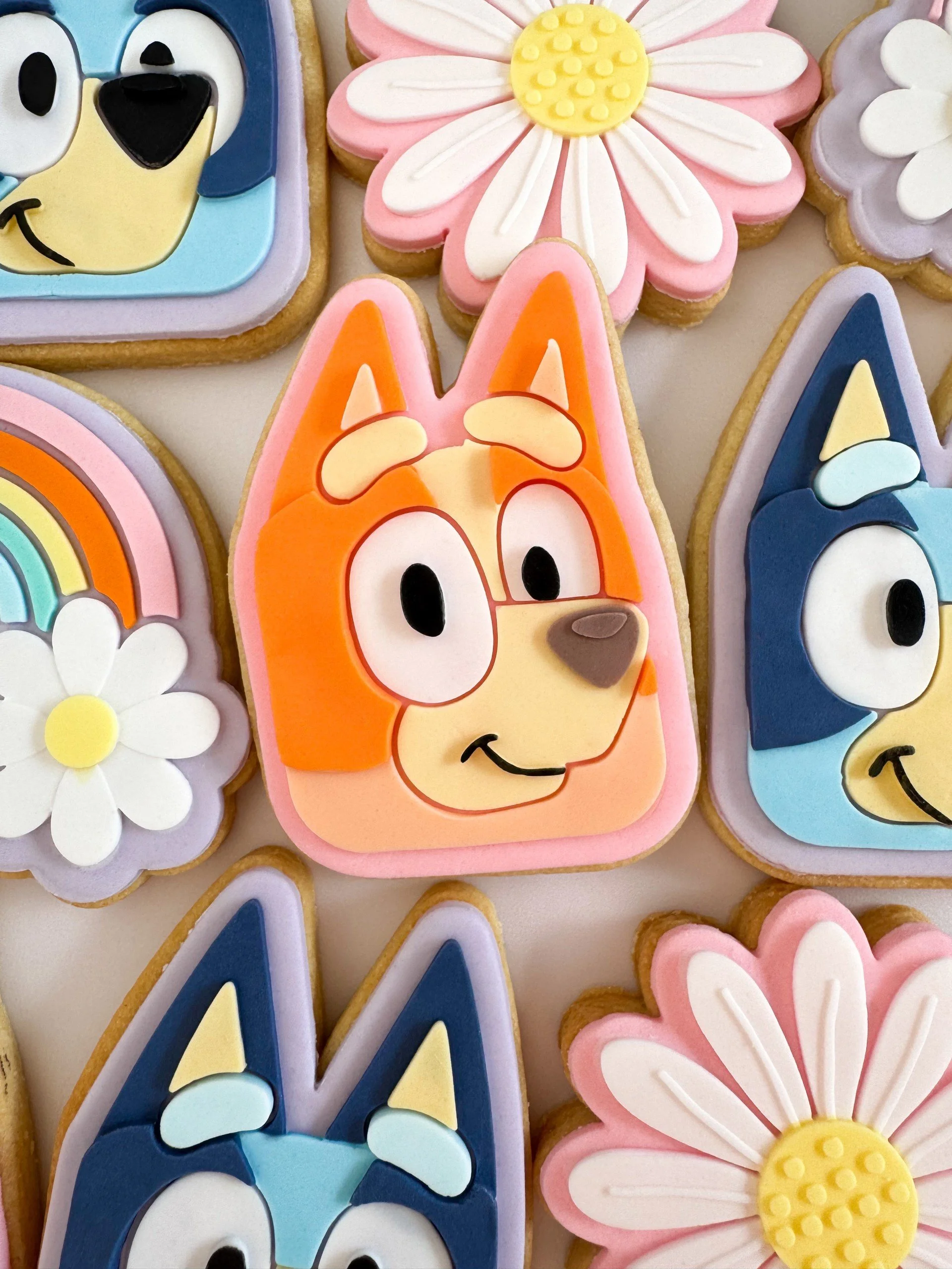 Bingo Face Cookie Stamp & Cutter