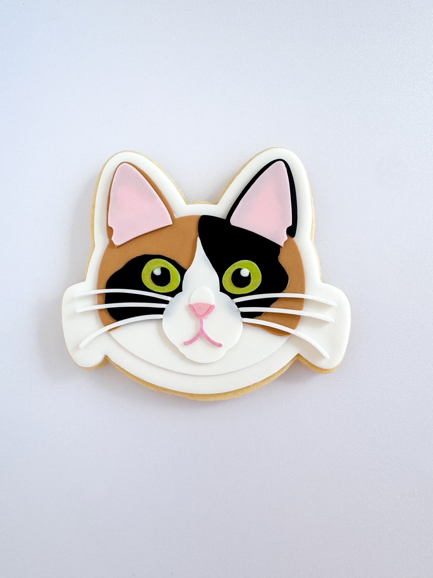 Cat Face 1.jpg