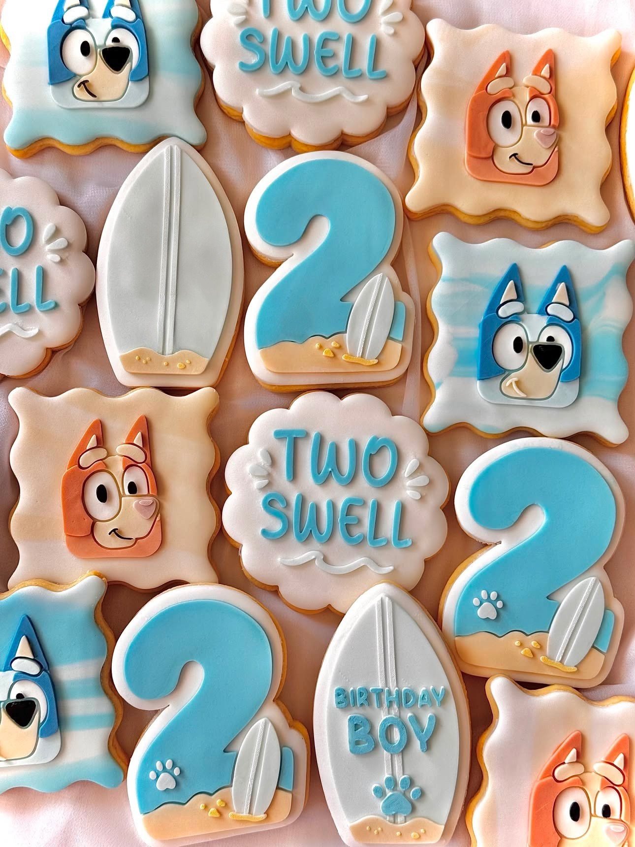 Bluey Two Swell Set2.jpg