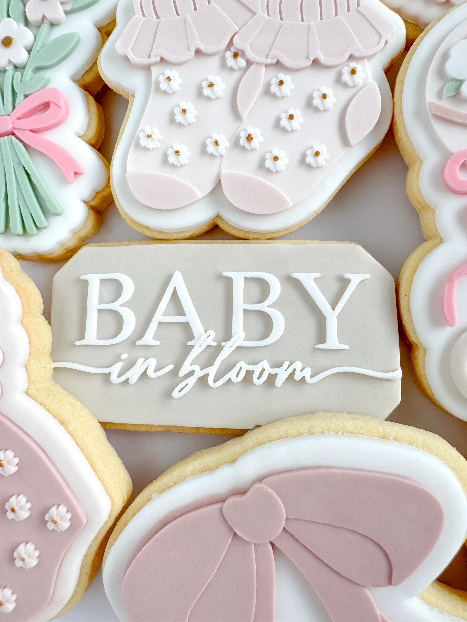 Baby in Bloom.jpg