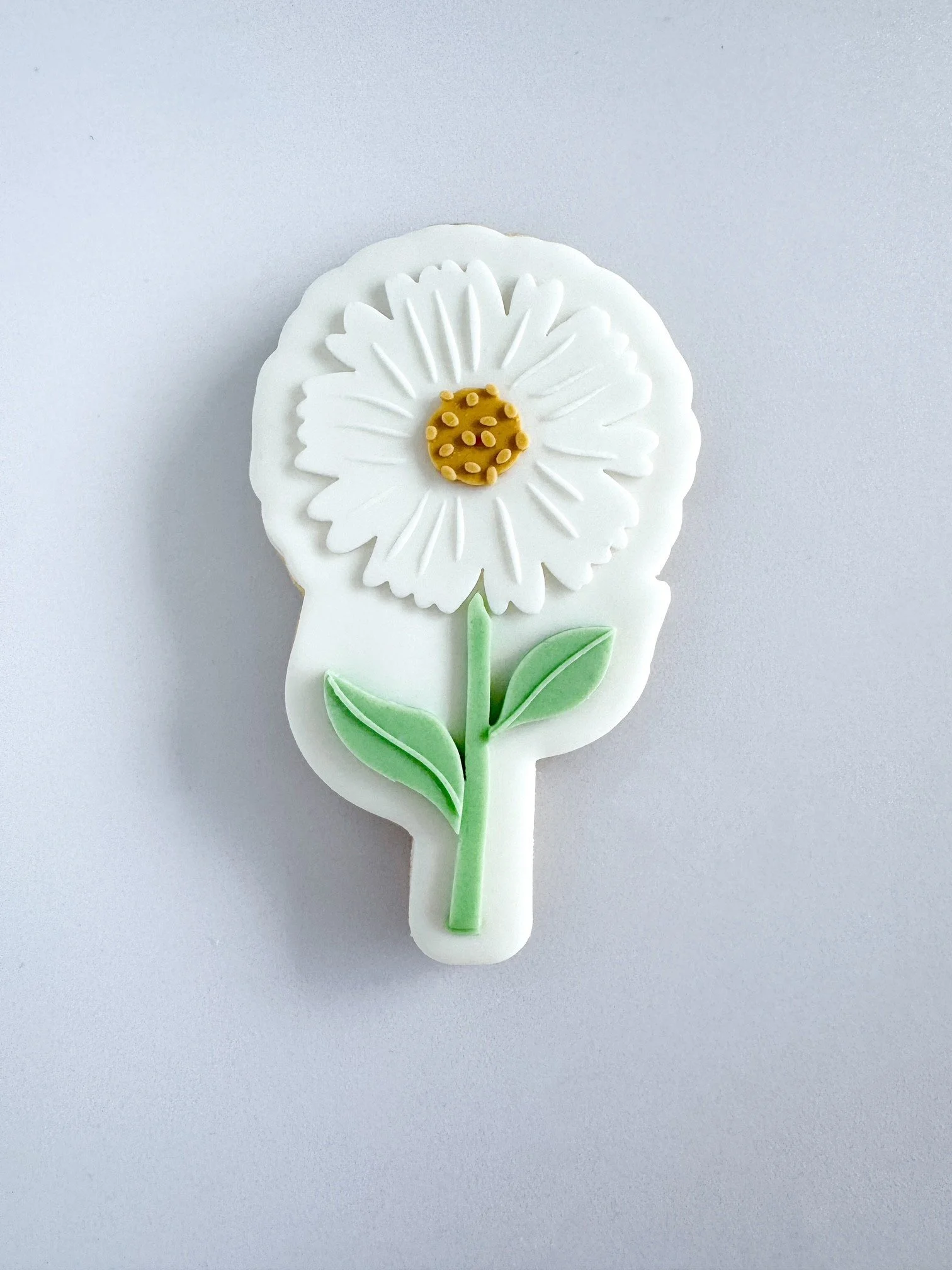 Flower on Stem.jpg