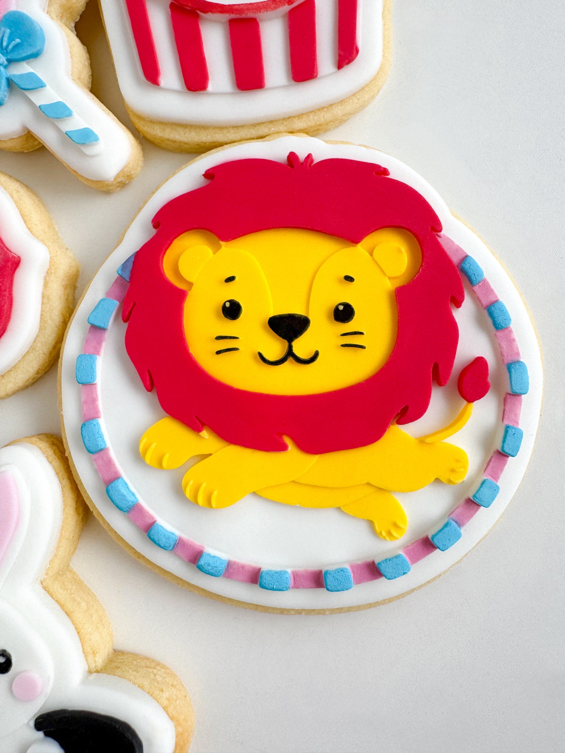Circus Lion.jpg