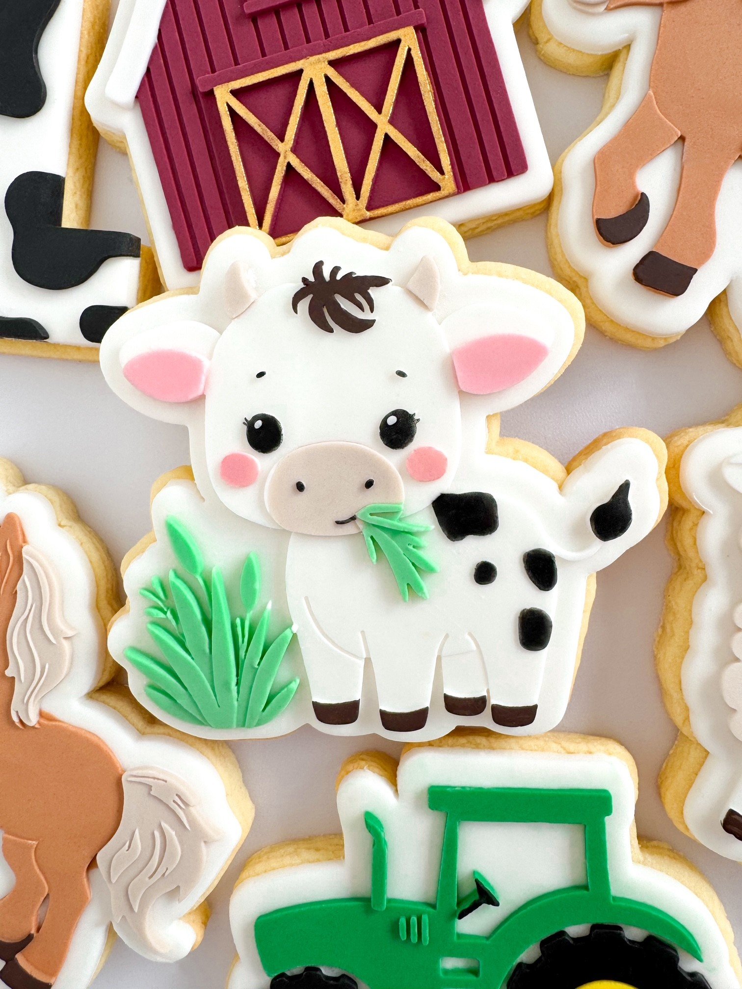 Cow Eating Grass.jpg