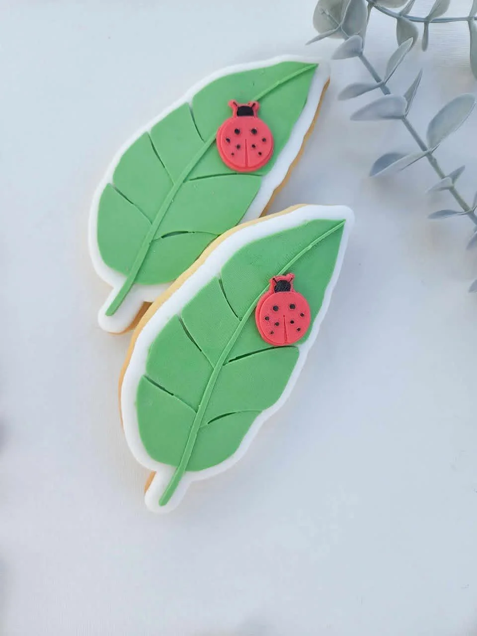 Leaf.jpg