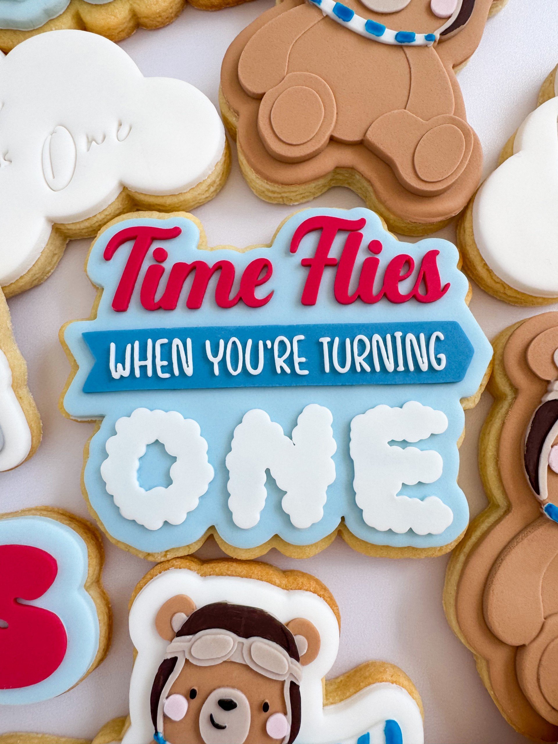 Time Flies When You're Turning One.jpg