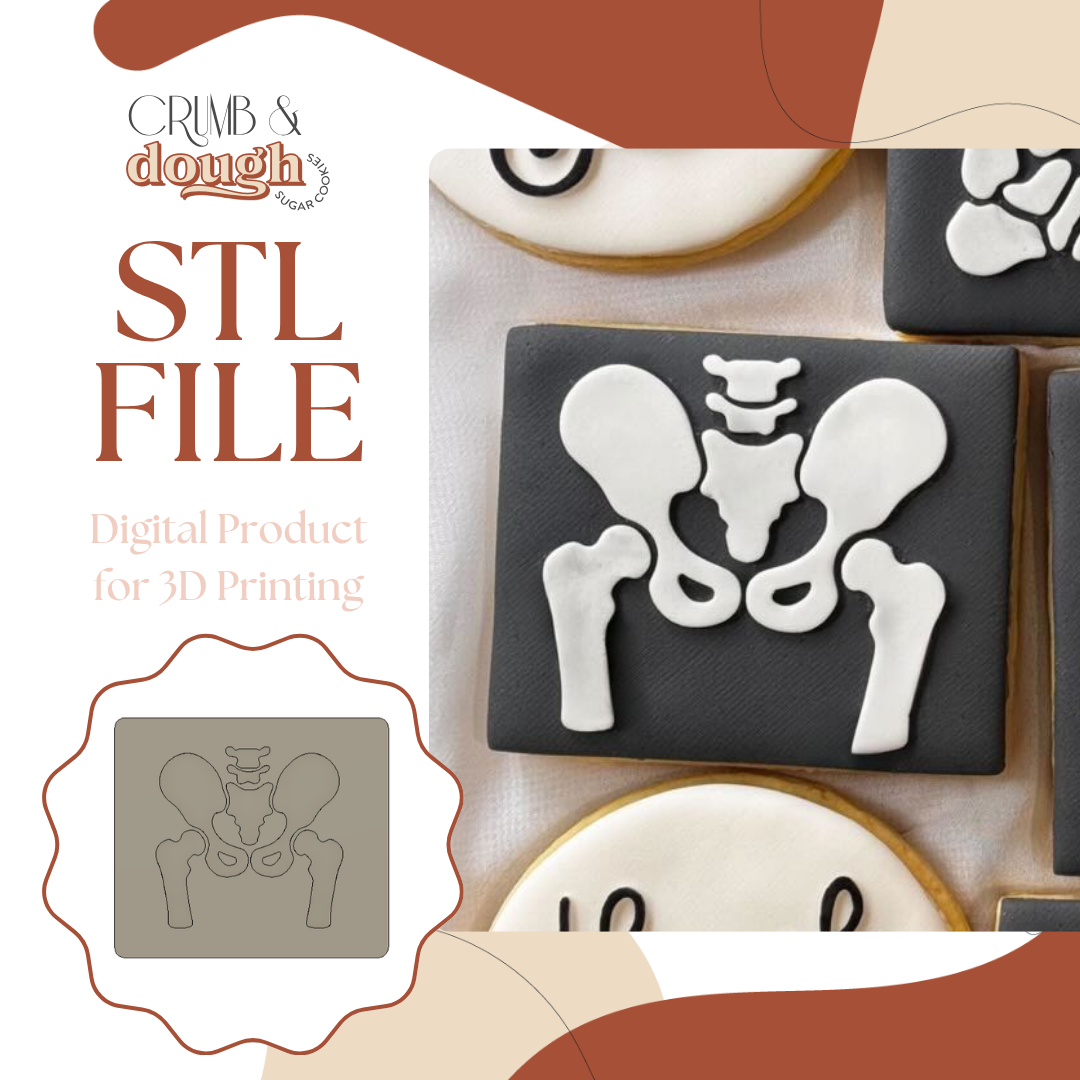 Pelvis X-Ray.png
